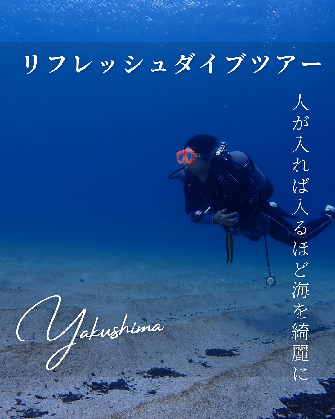 沖縄よりも先に梅雨入り!💦🌧️
してしまった屋久島です😳
雨も好きですが、
3日に1回くらいは晴れが欲しいなぁ🌈✨
と思うほど、よく雨が降る屋久島です。
投稿は昨年9月の
リフレッシュダイビング🤿✨🐠
ツアーメニューにはありませんが、
ダイビングのライセンスを持っているけど🤿
何年もブランクがあって、、
浅めの海でゆっくり潜りたい🪸
という方のみ、ご案内してますので、
良かったらお問い合わせ下さい😊✨
この日のお客様は、
一般社団法人 森とこころの研究所の
春日さん💓
deep森林浴を主にご案内している、
カレイドフォレスト(株)との
屋久島でのコラボリトリートを年に2回ほど
開催しております🌲✨
@mihokokasuga
@kaleidoforest_official
この日も、台風10号でやってきた🌀
たくさんの海洋漂着ゴミがたくさん!
沢山拾っていただきありがとうございます🙏💓
のんびりと、海底遺跡っぽいポイントを
潜ってきました🪸🐠
ブランクを感じない潜りでした🌈
ミノカサゴの捕食の瞬間も見れて、
楽しいダイビングでした🩵🩵🩵
ご参加ありがとうございました🙏🩷
【お知らせ】
9月に出産予定の為、
また、クジラの声が聴こえ始める頃(12月頃)まで
お休みさせて頂きます🙇
今年の夏に、
スキンダイビング又はシュノーケリングをご検討の方、
私の師匠のお店、
屋久島マリンサービスへぜひお問い合わせください😊
@eno_yakushima
𓇼𓇽𓇼𓇼𓇽𓇼𓇼𓇽𓇼𓇼𓇼𓇽𓇼𓇼𓇽𓇼𓇼
【水の精 屋久島】
嵯峨 京子|SAGA KYOKO🧜
こちらをタップ👆
プロフィールの1番下をタップすると
ホームページにとびます🐠
フォロー嬉しいです💖
海のおそうじ🚮✨
×
【シュノーケリング 半日】1グループ貸切
8,300円/1人
7,700円/2人
6,800円/3人
【スキンダイビング 半日】1グループ貸切
11,300円/1人
9,900円/2人
8,600円/3人
【スキンダイビング ステップアップコース】
1グループ貸切
12,200円/1人
11,300円/2人
9,900円/3人
【ファンスキンダイビング】
1グループ貸切
7,700円/1人
6,800円/2人
5,000円/3人
【体験ダイビング 半日】
1グループ貸切
12,200円/1人
11,300円/2人
9,900円/3人
お支払いは現金のみです🌺
𓆉𓈒𓂂𓏸𓆟𓏸𓂂𓈒𓈒𓂂𓏸𓆜𓆝𓆞𓏸𓂂𓈒𓈒𓂂𓏸𓆉𓏸𓂂𓈒𓂂𓏸𓆟𓏸𓂂𓈒𓇼
#水の精
#屋久島#屋久島暮らし
#自然と自分に優しい暮らし
#ダイビングガイド
#ダイビングインストラクター
#ライフセーバー
#スキンダイビング
#水辺の事故ゼロを目指してます
#フレキシタリアン
#女子旅#一人旅
#楽しく安全に海遊び
#人が入れば入るほど海を綺麗に