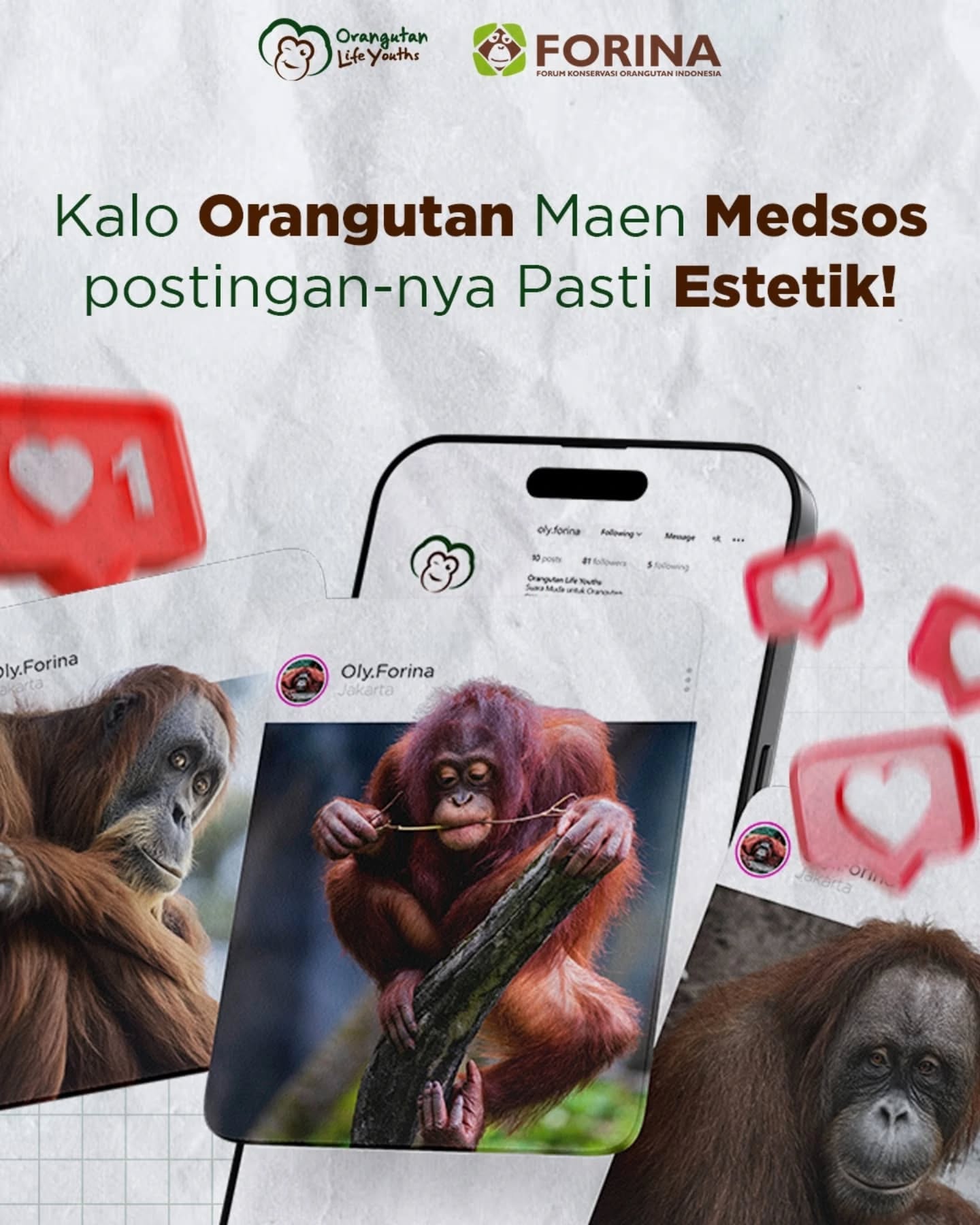 Kalau orangutan punya medsos, feed mereka bisa lebih estetik dari kamu ππ¦§
πΈ Pose santai di atas pohon? Centang.
π 'Ngepost' suara buat cari temen? Centang.
πΏ Bikin 'content' DIY dari daun & ranting? Centang.
β¨ Glow up natural tanpa skincare? Centang banget.
Sementara kita... nunggu filter baru buat selfie. π
Kira-kira bakalan viral terus ga nih kalo orangutan jadi content creator? π¦§β¨
#orangbaikjagaorangutan #orangutanlifeyouth #olymovement #saveorangutan #jagahutan #youthforwildlife Β #anakmudapeduli #contentcreator #influencer