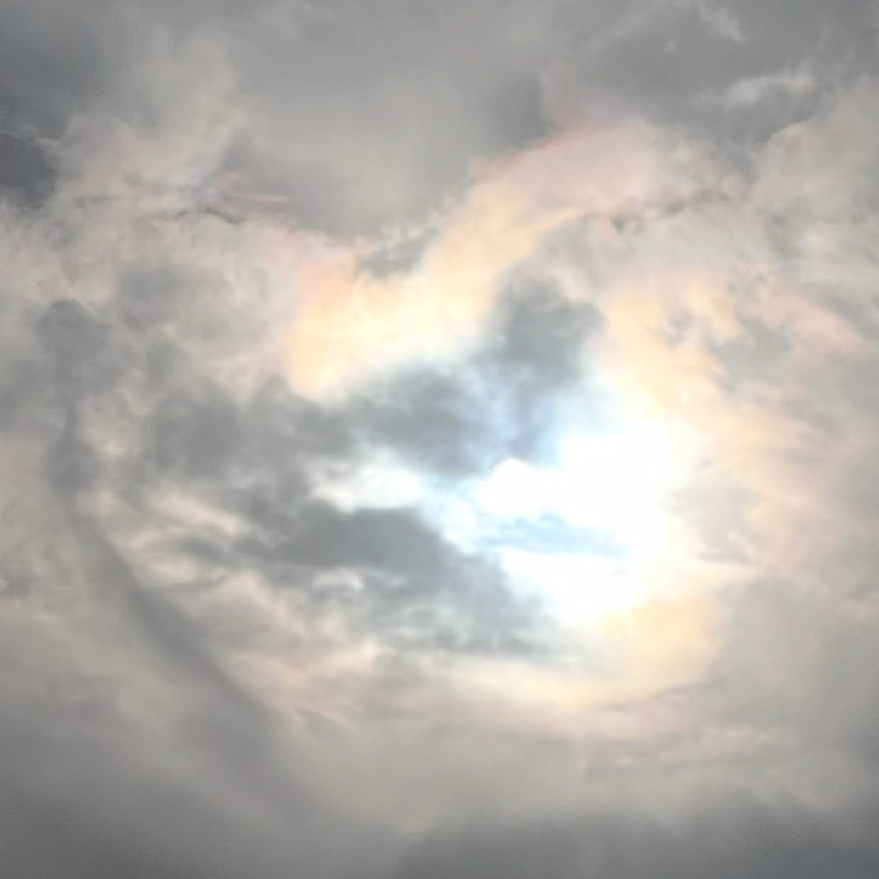 Love shines through 💖 #nofilter #nature #wisdom