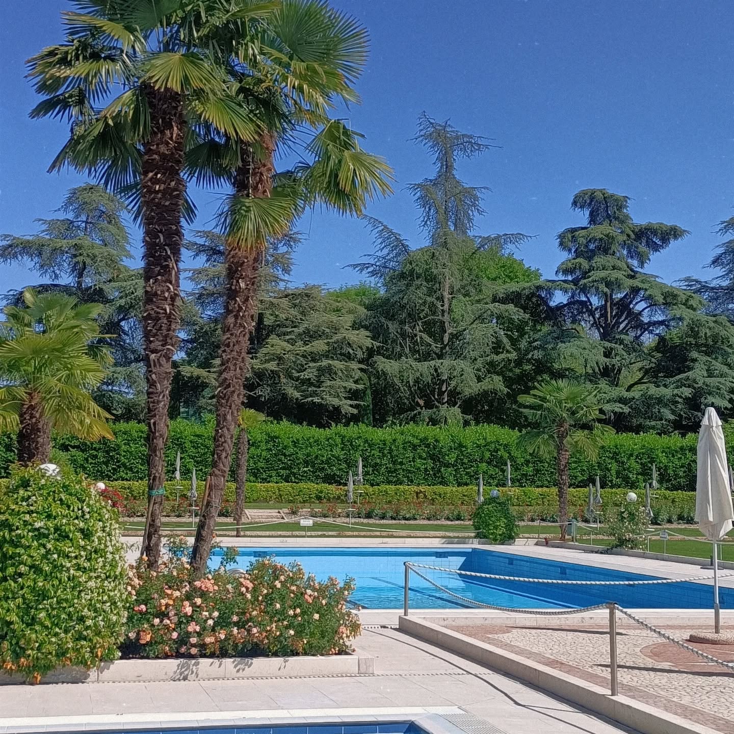 È ufficiale: si riparte!
Segnatevi la data ▶️ SABATO 31 MAGGIO 2025 ◀️
Le #piscinegreenclub riaprono per una nuova estate piena di sole, relax e divertimento!
I preparativi sono in corso e manca davvero pochissimo all’inizio di una stagione indimenticabile… e quest’anno sarà ancora più speciale da vivere insieme a voi!
Prenotate l'ingresso direttamente sul nostro sito www.piscinereenclub.it >>> LINK IN BIO.
L’estate vi aspetta. Noi anche!
#GreenClub #Estate2025 #PiscineGreenClub #Riapertura #PrenotaOnline #Relax #Sole #Divertimento #SummerVibes #piscinaestivamodena