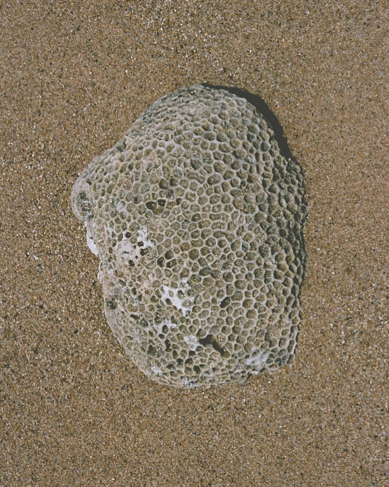 coral is the carry-on
#jidaibeauty