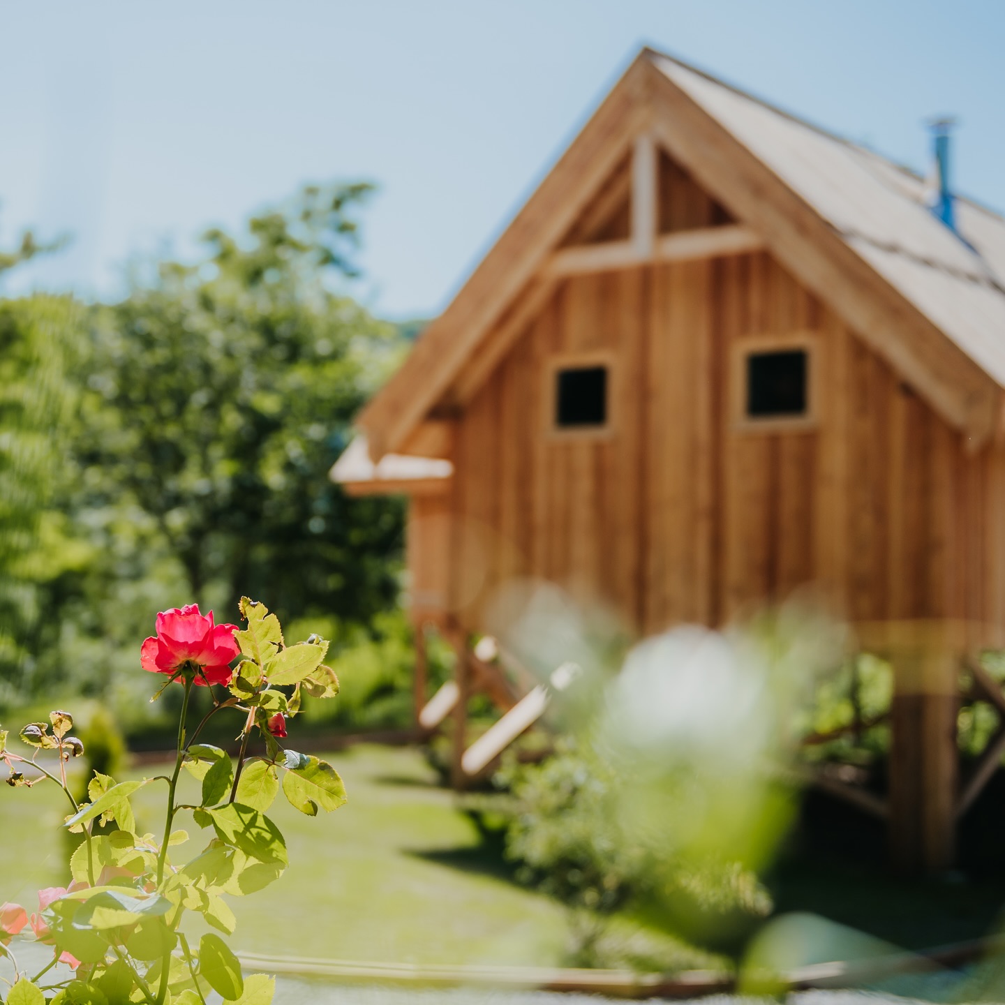 Le jardin est en fleurs par ici, signe que l’été est tout près d’arriver ! Profitez de vos prochaines vacances pour venir découvrir nos cabanes ou nos logis à la ferme. ☀️ on vous attend avec impatience.
👉🏼 www.cabanesdudauphine.fr
5% de réduction si vous réservez en direct sur notre site.
Cabanes du Dauphiné | Cabane insolite | My Hautes Alpes | Ville de Gap