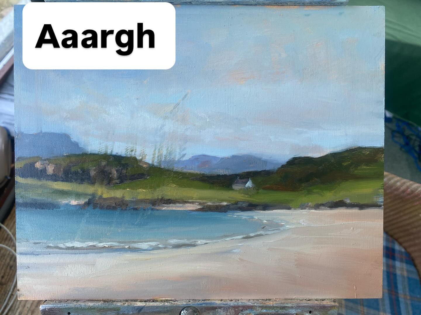 This is what a plein air painting looks like when you shove it in the back of your car, still attached to the tripod, and then drive around with a hundred loose items in the boot, all vying for the opportunity to smudge a bit of the still wet oil paint……
As my mother always said “ for a bright girl, you’re really very thick”
Oh well, I guess I know what I will be doing this evening before supper
Swipe for some photos of a beach so stunning that it’s v hard to leave …… Mellon Udrigle - - do you know it?
#messyart #smudgeart #mellonudriglebeach #northcoast500 #westerross #coastalliving #coastalart #seascapeart