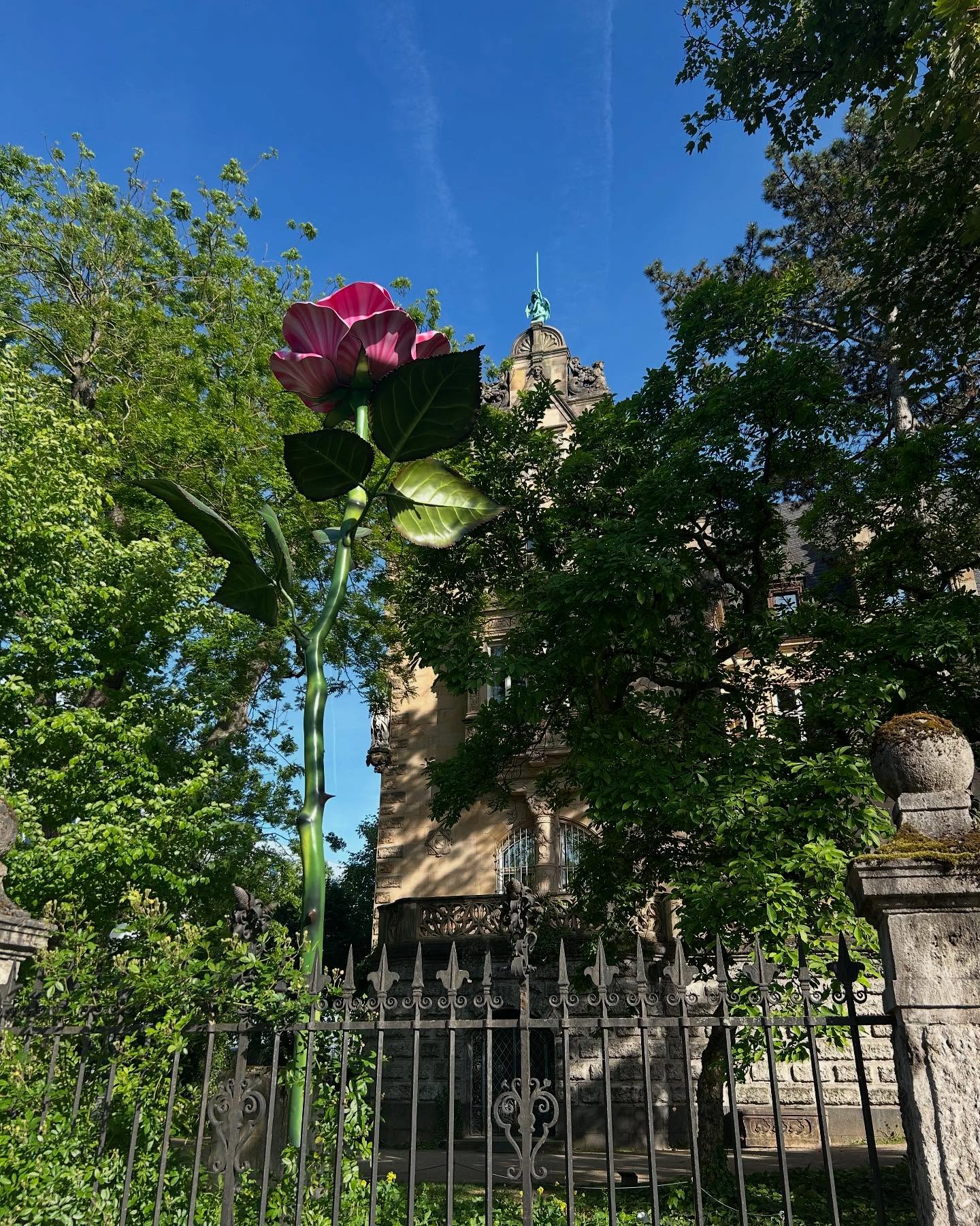 A beautiful piece of art to feel inspired to stop and smell the roses 🌹 In times of negative information overload and uncertainty. Cultivating simple moments of ✨Gratitude✨ to regulate the nervous system ♥️