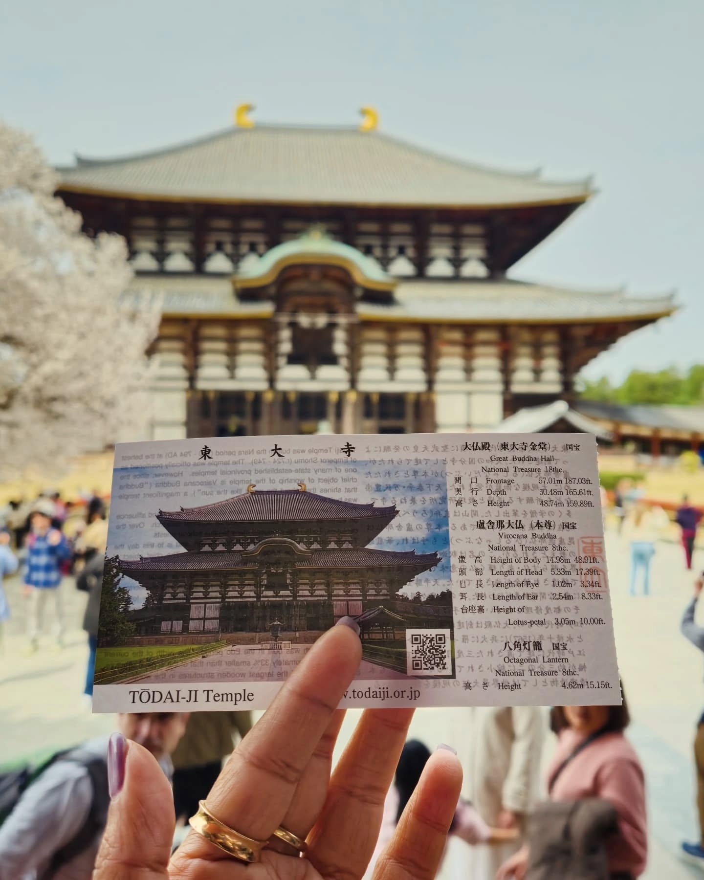 🪷 I thought I knew what to expect at Tōdai-ji… then I stood in front of it.
You walk through Nara Park—dodging curious deer—then suddenly you’re standing in front of this enormous wooden hall housing one of the largest bronze Buddhas in the world. It's not just impressive, it's grounding.
What I loved most? The silence. Despite the crowds, there’s a sacred stillness that hits different. It’s one of those places that makes you pause, breathe, and just feel.
If you're exploring Kyoto or Osaka, add Nara to your route. Just an HR by train, trust me—this cultural gem deserves more than a quick stop.
#todaijitemple #narajapan #buddha #fypジ #culturaltravel #kyotodaytrip #thingstodoinjapan #japanheritage #japanvibes #explorejapan #kyototravel