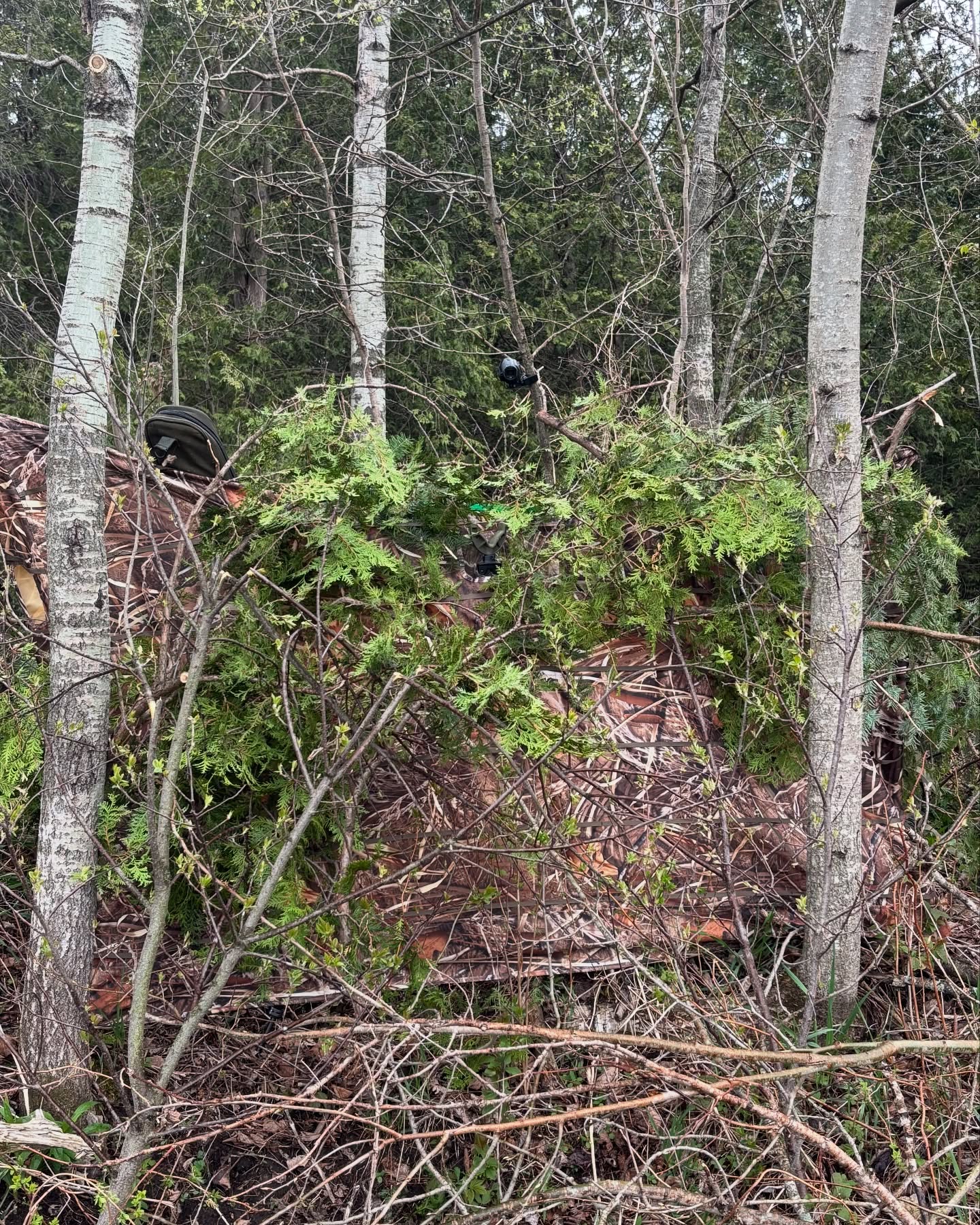 Double-Sided!!!
Altan Field Ambush!!!