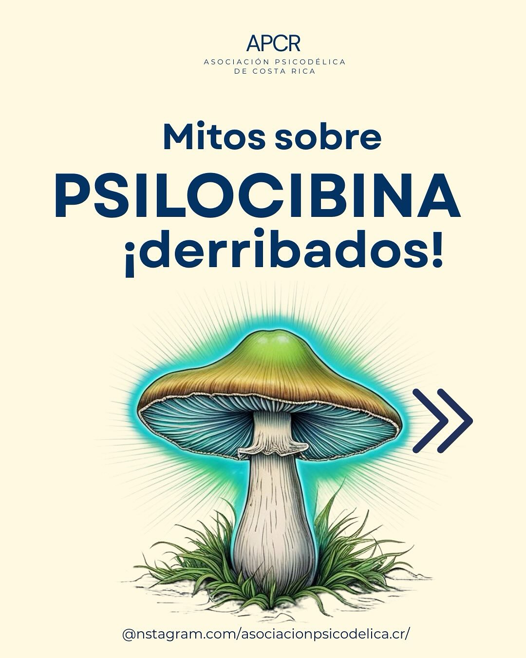 🧠✨ La verdad está emergiendo...
Durante décadas, nos enseñaron miedo y desinformación.
Hoy, la ciencia, la experiencia y la conciencia se unen para abrir un nuevo camino.
Las plantas sagradas no son tabú, son oportunidad, sanación y avance.
📅 Este 22 de mayo
💻 Evento en vivo por Zoom
🎤 Voces expertas | Testimonios reales | Evidencia científica
🌿 Descubre el verdadero potencial de la psilocibina y cómo está revolucionando la salud mental.
🔗 ¿Quieres el enlace para entrar?
Escríbenos con un 🍄 y te lo enviamos directo.
✨ El cambio ya empezó. Te esperamos.
