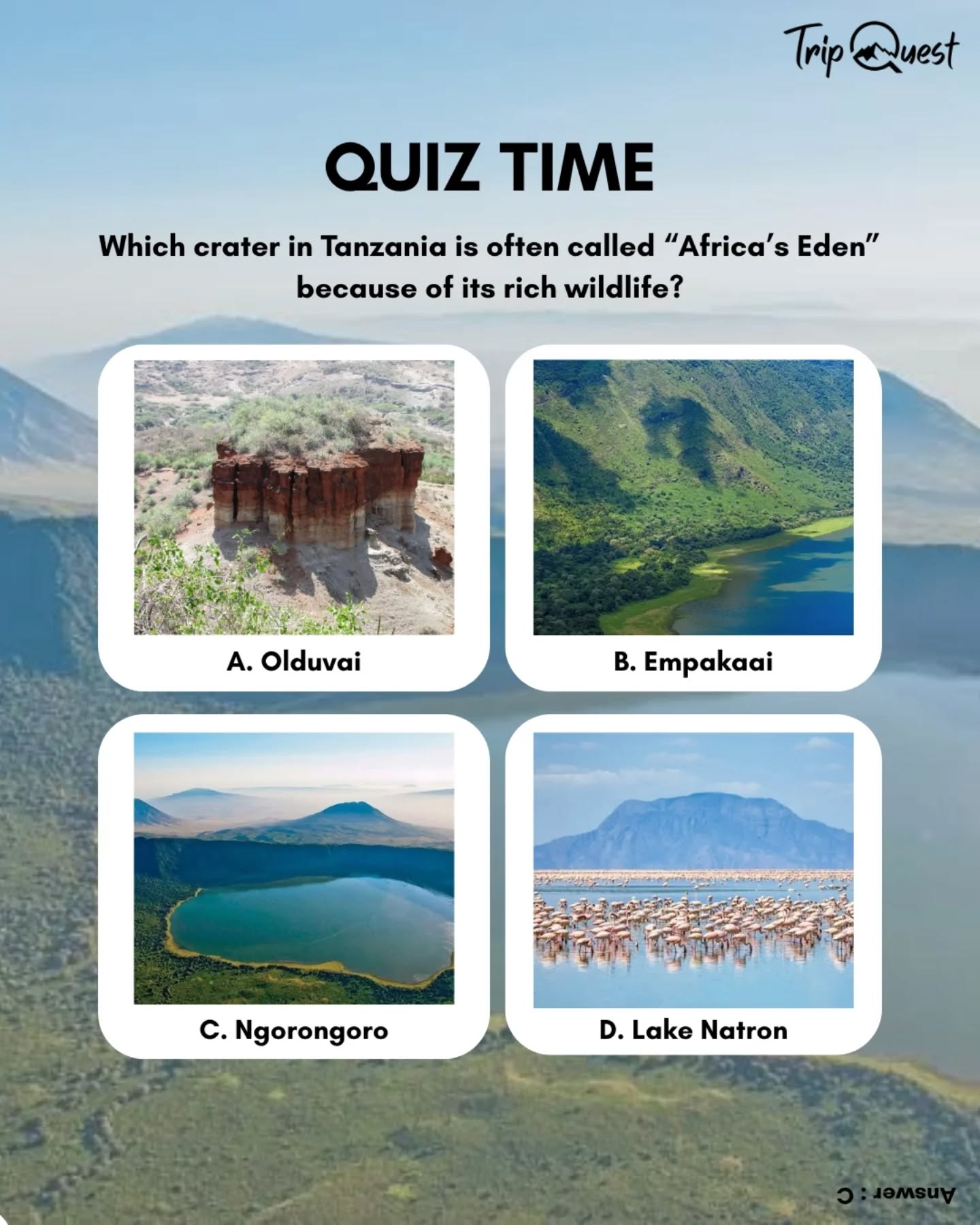 "🦒✨ Africa’s Eden? Can You Guess Where This Is?
Imagine a place where lions, rhinos, zebras, and flamingos all roam together—inside a massive volcanic crater.
⠀
No, it’s not a wildlife documentary. It’s real. And it’s one of Tanzania’s most iconic safari destinations.
⠀
Can you guess the name of this place? Drop your answer below ⬇️
⠀
#TanzaniaSafari #GuessThePlace #WildlifeAfrica #SafariQuiz #NatureLovers #HiddenWonders"
