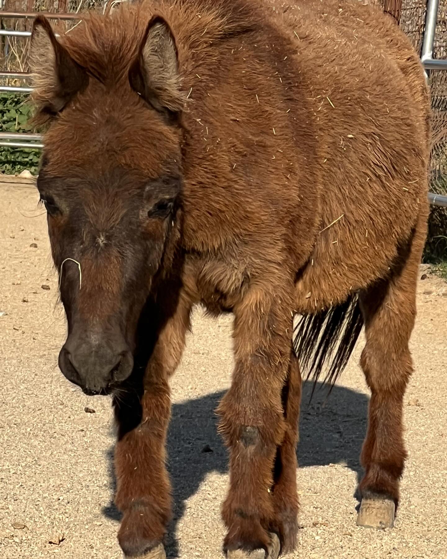 To the little faces that make it worth it we love you we will keep you safe you will never just be dollar signs again