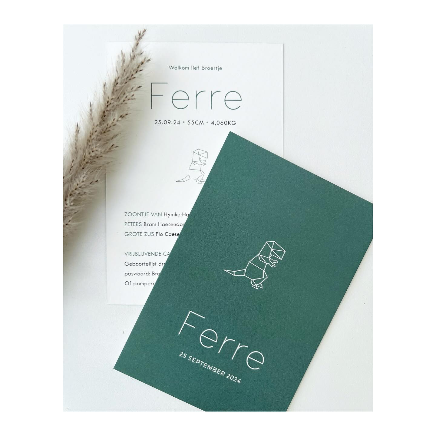 Hello Ferre 🦖
.
.
#geboortekaart #geboortekaartje #geboortekaartjes #baby #studioflo #drukwerk #uniekgeboortekaartje #babyontheway #babyboy #zwanger2025 #itsaboy #zwanger #20wekenzwanger #mommytobe #studioflo #eenvoud #eenvoudigkaartje #minimalistisch #ontwerp #grafischontwerp #doopsuiker #suikerbonen #birthannouncement #cartedenaissance #graphicdesign #drukwerk