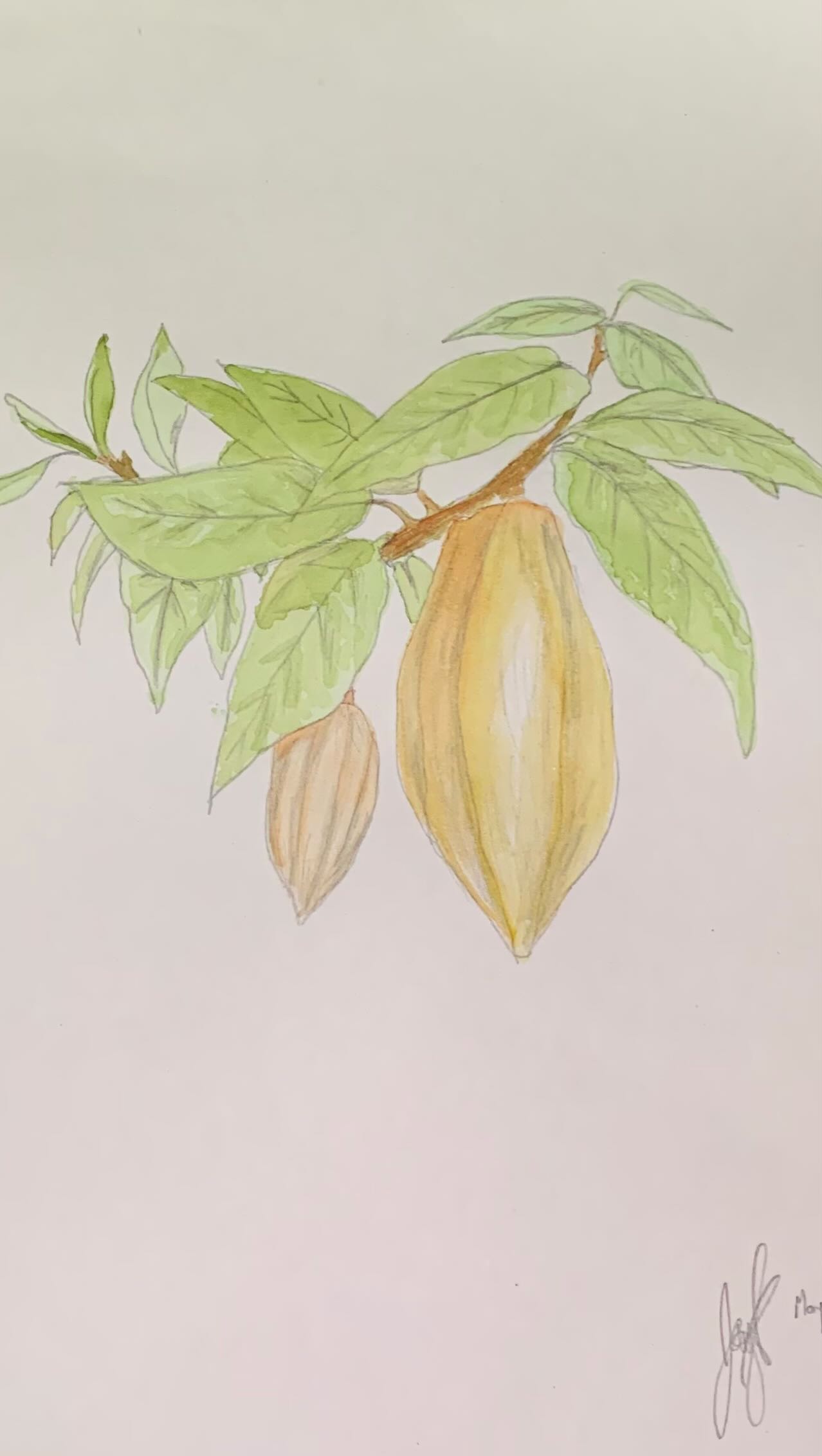 Así se ve el comienzo de algo especial.
Este dibujo es el primer paso de un pedido personalizado: una pieza única que pronto se convertirá en un bulto hecho desde cero por PegArte787.
Aquí cada trazo tiene intención, cada color lleva historia… y cada pieza nace del corazón de Puerto Rico.
¿Tienes una idea que quisieras convertir en arte útil?
Escríbenos. Lo hacemos posible.