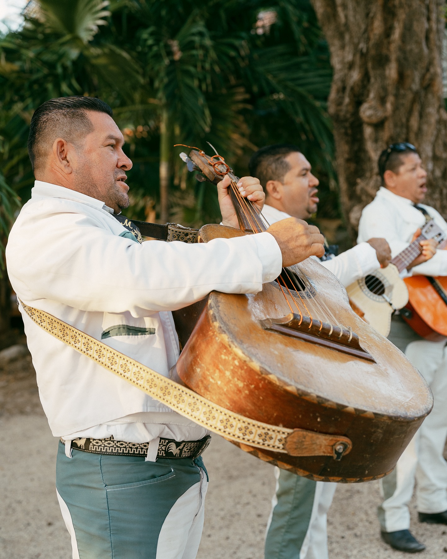 Liz & Eddie’s wedding had it all.
Tradition, music, and love
Add a unique touch with a live mariachi band!