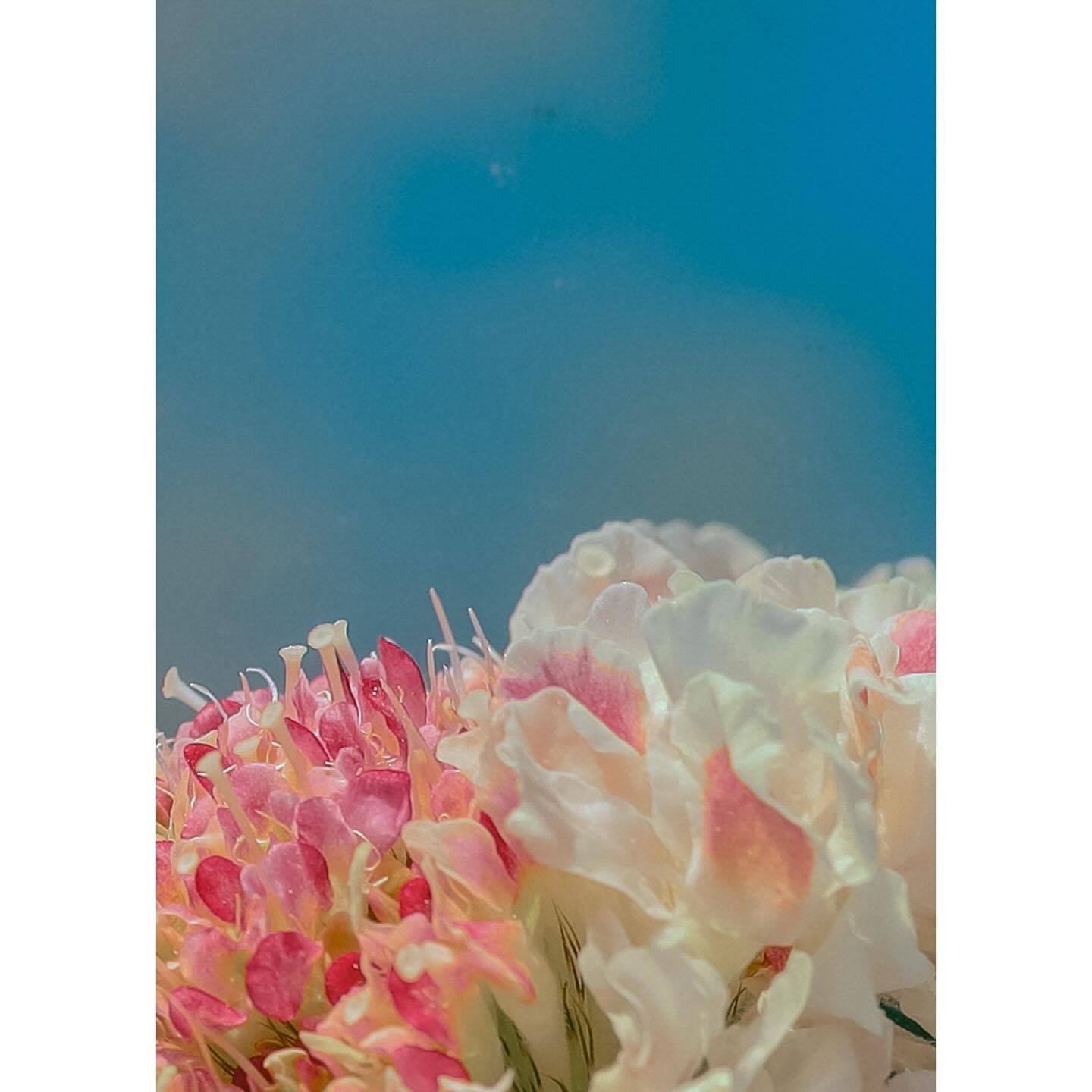 😂The Power of Humour in Coaching 🤣
Laughter really is medicine. Humour can boost your mood, shift your mindset, and even build resilience. But here’s the thing — humour is deeply personal. What makes you laugh might leave someone else scratching their head… and that’s OK!
When it’s authentic, humour makes you feel good. It lightens the load, helps us connect, and reminds us not to take life (or ourselves) too seriously.
Top Tips for Using Humour to Feel Good:
• 🤣 Find your funny – Whether it’s a meme, a TV show, or your dog’s daily antics, notice what reliably makes you smile.
• 🔄 Use it to reframe – Stuck in a tough moment? Try asking: what’s the funny side of this? It can shift your perspective.
• 🚫 Don’t force it – Humour should lift, not mask. If it doesn’t feel natural, give yourself permission not to laugh.
• 🤝 Laugh with others – Shared laughter builds trust and connection. Find your people who just get your weird humour.
• 🎉 Let yourself be silly – Play, dance, wear the ridiculous socks — joy often lives in the silly stuff.
Remember: a good laugh won’t solve everything… but it might help you feel a little lighter today. And that’s a start.
#FeelGoodHumour #PowerOfLaughter #PositivePsychology #CoachingTools #ResilienceCoach #AuthenticLiving #MindsetMatters #LaughMoreLiveMore #JoyfulLiving #MentalWellbeing #GRYTCoaching