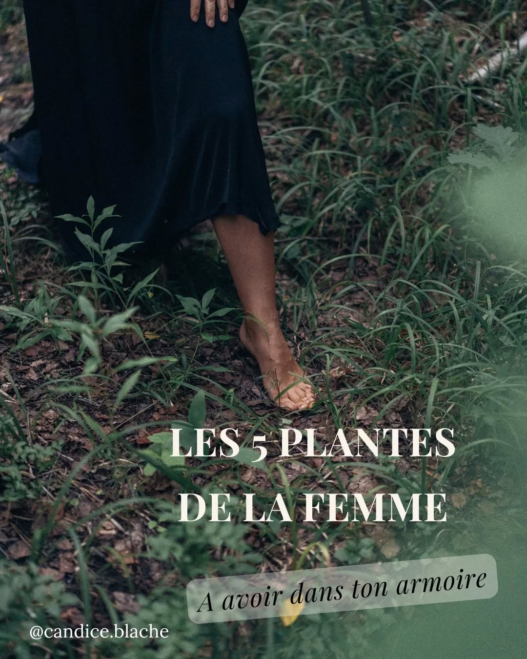 ⬇️⬇️⬇️⬇️ + D'INFOS
..
Les plantes sont des alliées de choix pour ta santé ❤️🙏
..
⚠️ Les choisir entières (fleurs ou feuilles) biologiques et les stocker précieusement 💖
..
Si tu veux plus D'INFOS sur les utilisations commente PROTOCOLE et dis moi la problématique (sopk, douleurs, ménopause, grossesse, fertilité etc..
..
Hésite pas à partager à tes amies et aux femmes de ta vie 🙏🍀
..
Je suis Candice, Naturopathe et Doula.
Je t'aide à retrouver la pleine santé 🌿
Pour rappel : prise de rdv possible (voir bio) pour t'accompagner sur ce chemin 💪
..
#plantes #phytothérapie #fertilité #thyroïde #troubleducycle #cyclemenstruel #regles #ortie #melisse #achilleemillefeuille #framboisier #alchemille #douleursregles #endometriose #sopk #grossesse #naturopathie #sante #santenaturelle #doula #douladesfamilles
