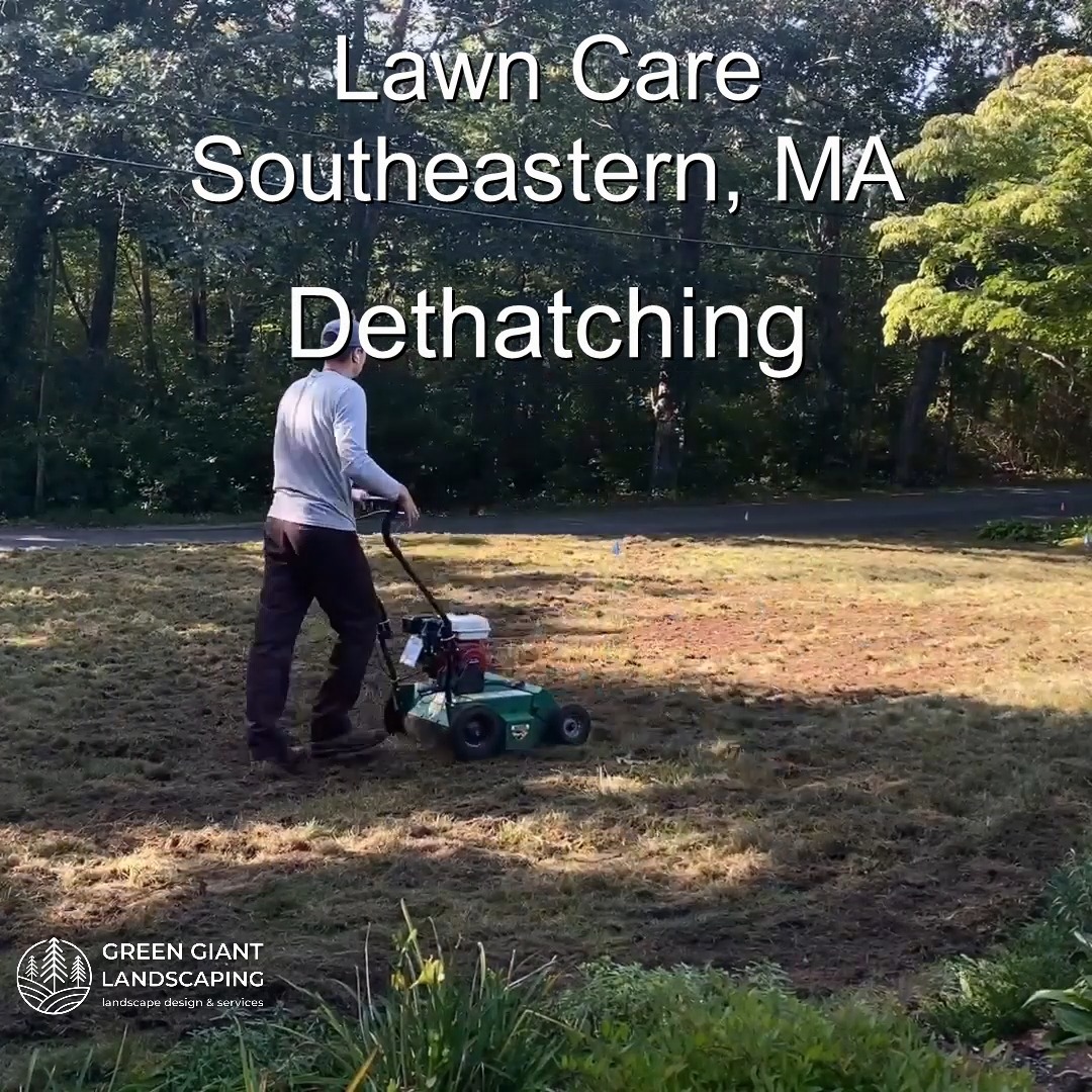Lawn Care 2025.
Landscaping Southeastern, MA.
Call now for your free quote!
Plants installation
Tree and shrub care
Seasonal cleanups
Bobcat services
Old overgrown shrubs removal
Mulch installation
Garden maintenance
Professional Landscape Design.
https://www.greengiantlandscaping.com/post/spring-cleanup-2025-prepare-your-landscape-for-a-new-season
Phone:
+1 413-406-9094
#landscaping #landscapedesign #gardening #gardendesign #landscaper #landscapearchitecture #treeandshrubtrimming #mulch #Massachusetts #southshore #newton #boston #hingham #marshfield #scituate #NewtonMA #scituatema #milton #canton #wellesleyma #SpringCleaning #shrubtrimming #shrubcare #plantingseason #plantingtrees #plantingdesign #gardentransformation #springcleanup #mulching