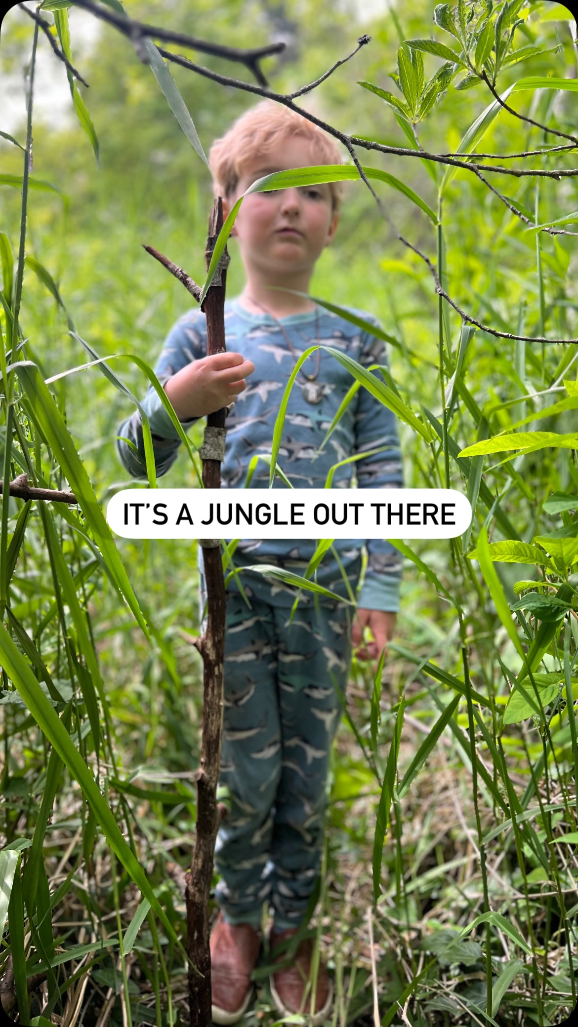 The river grass has shot up and so, a new playground has emerged! 🌿🌴🐒
Watch till the end…..the verrrry end! Didn’t have that one on my bingo card for 2025 🙈