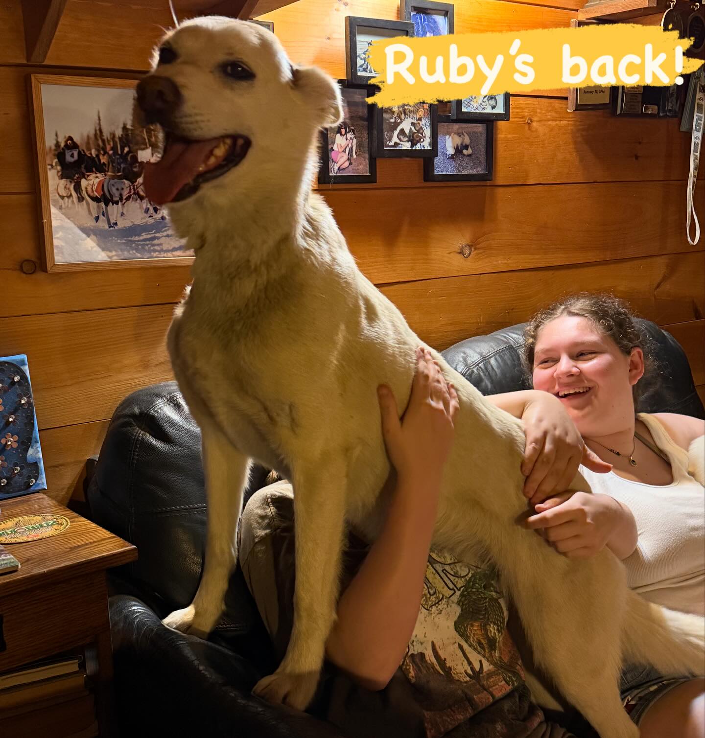 Ruby’s home! Almost time for Summer Sled Dog Camps… See you soon:) #summercamps #sleddogcamps #dogcamp #daughterlove❤️
