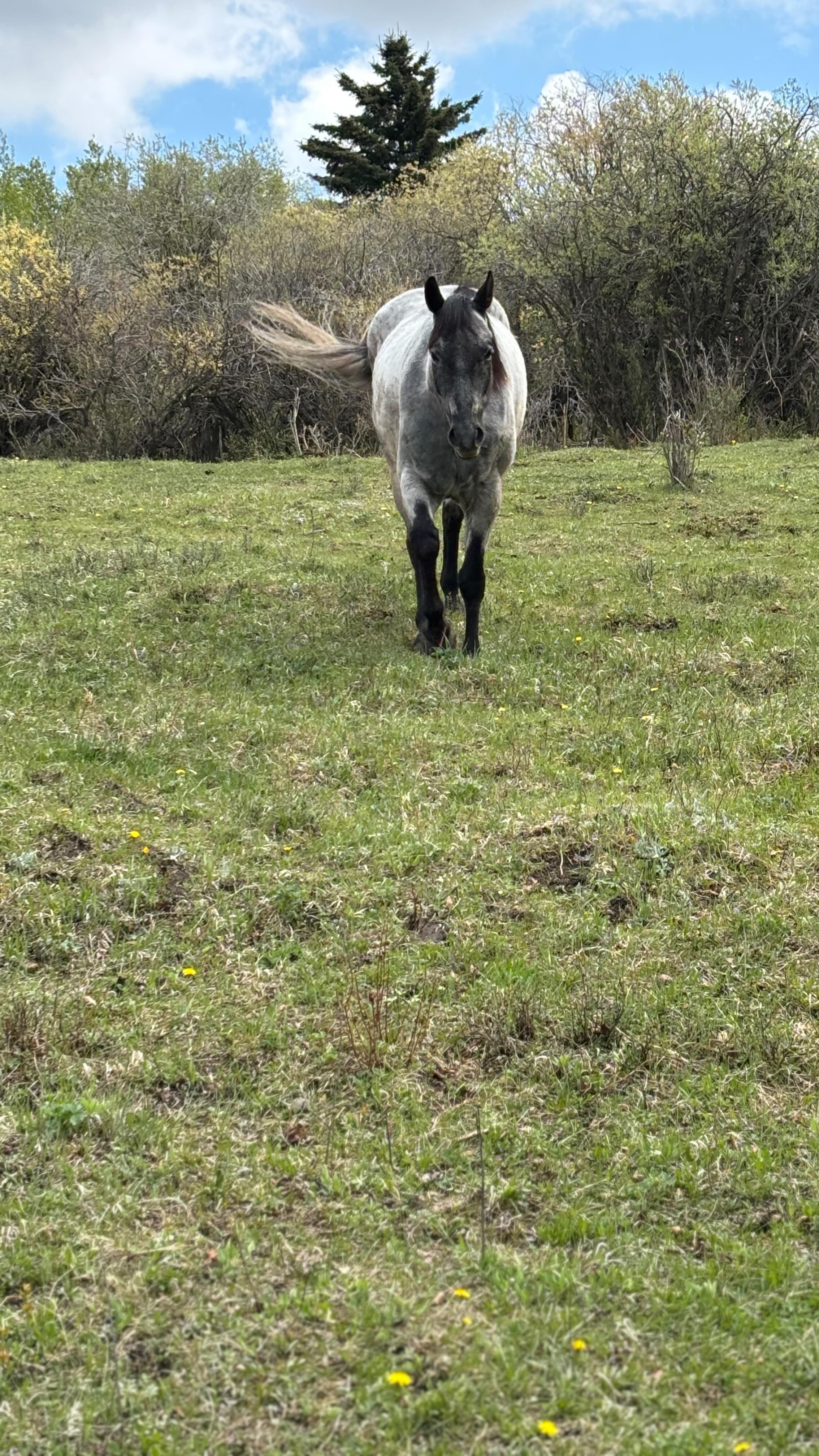 Itโs only Wednesday and this is my brain trying to keep up with the week ๐คฆโโ๏ธ๐คฆโโ๏ธ
โข
Between clients, the podcast (go check it out @uncinched.pod) writing and just general life things have been BUSY.
โข
So please enjoy this picture of how I look at the end of the night on the couch