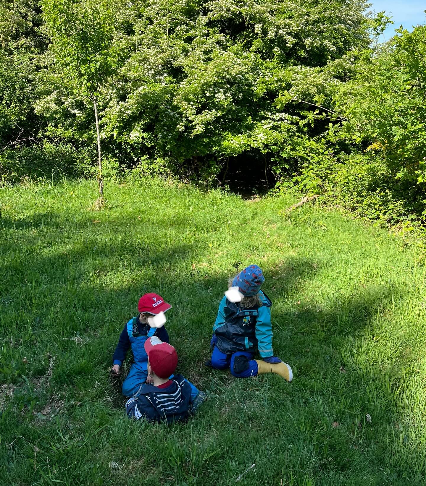 Diese Woche war mal wieder viel los bei uns. Wir waren an unterschiedlichen Waldplätzen, haben Geburtstag gefeiert, haben mit den Kindern Aktionen für den Ehrenamtstag vorbereitet, Schukitreff und wir haben einen Ausflug zum Spielplatz 🛝 an der Burg gemacht. Der Spielplatz wurde erneuert und ist richtig schön geworden.