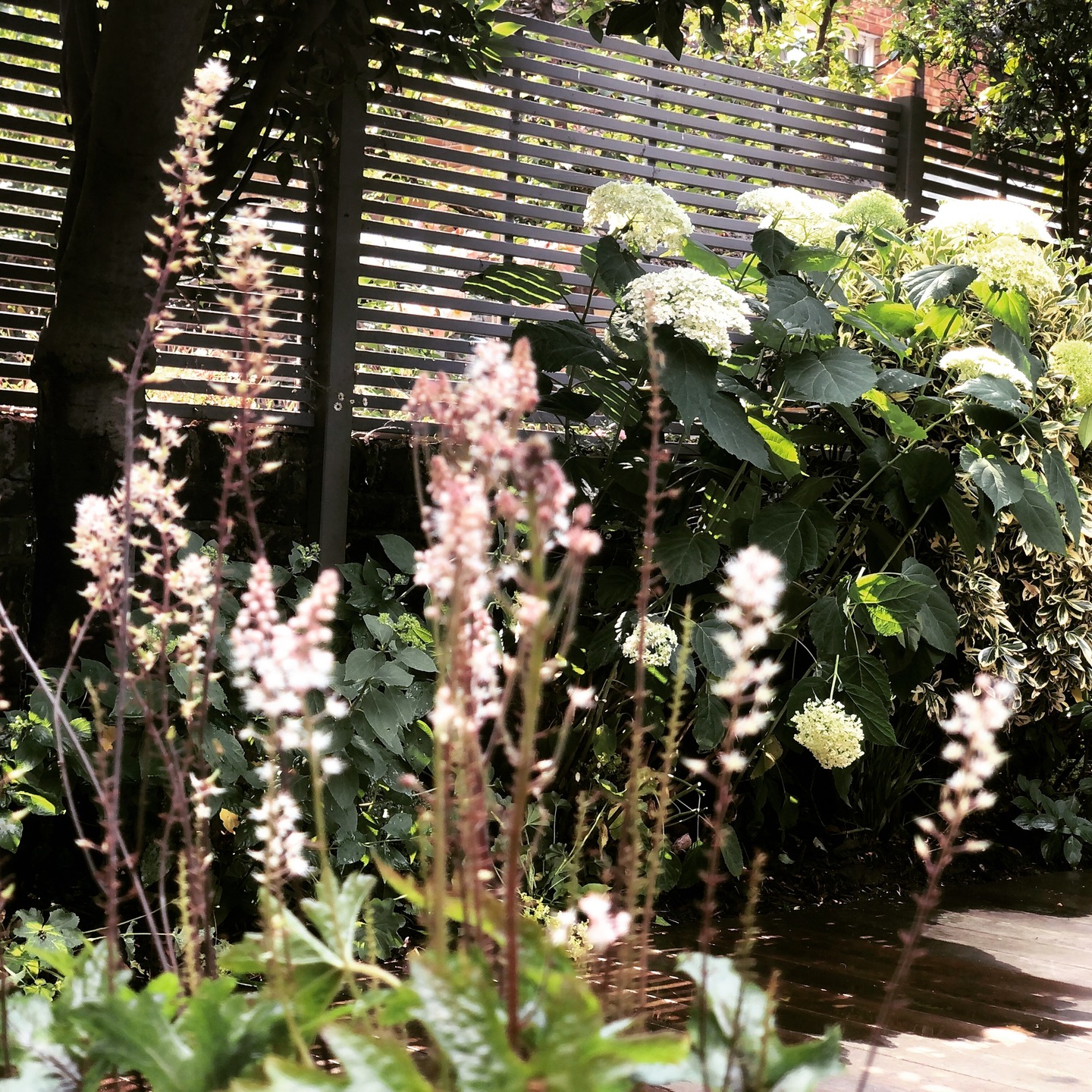 ✨A quiet celebration of structure and softness.💫This refined garden corner balances dappled shade with architectural planting, where textural foliage, sculptural blooms, and warm timber slats come together to create a sanctuary of natural elegance. Every layer invites the eye to pause, wander, and breathe.
Whether your outdoor space needs a gentle transformation or a bold new identity, our bespoke garden design service ensures timeless results rooted in harmony and beauty.
Thechelsealandscapegardener.com
.
.
.
.
.
#ChelseaGardens #GardenDesignUK #LandscapeArtistry #LushLondonLandscapes #OutdoorLiving #UrbanOasis #ModernGardenDesign #PlantingDesign #LuxuryGardens #NatureMeetsDesign #GardenInspo #LondonGardens #DesignDetails #chelsea #clapham #claphamcommon #putney #fulham #southkensington #belgravia #london #londongardens #londongardening