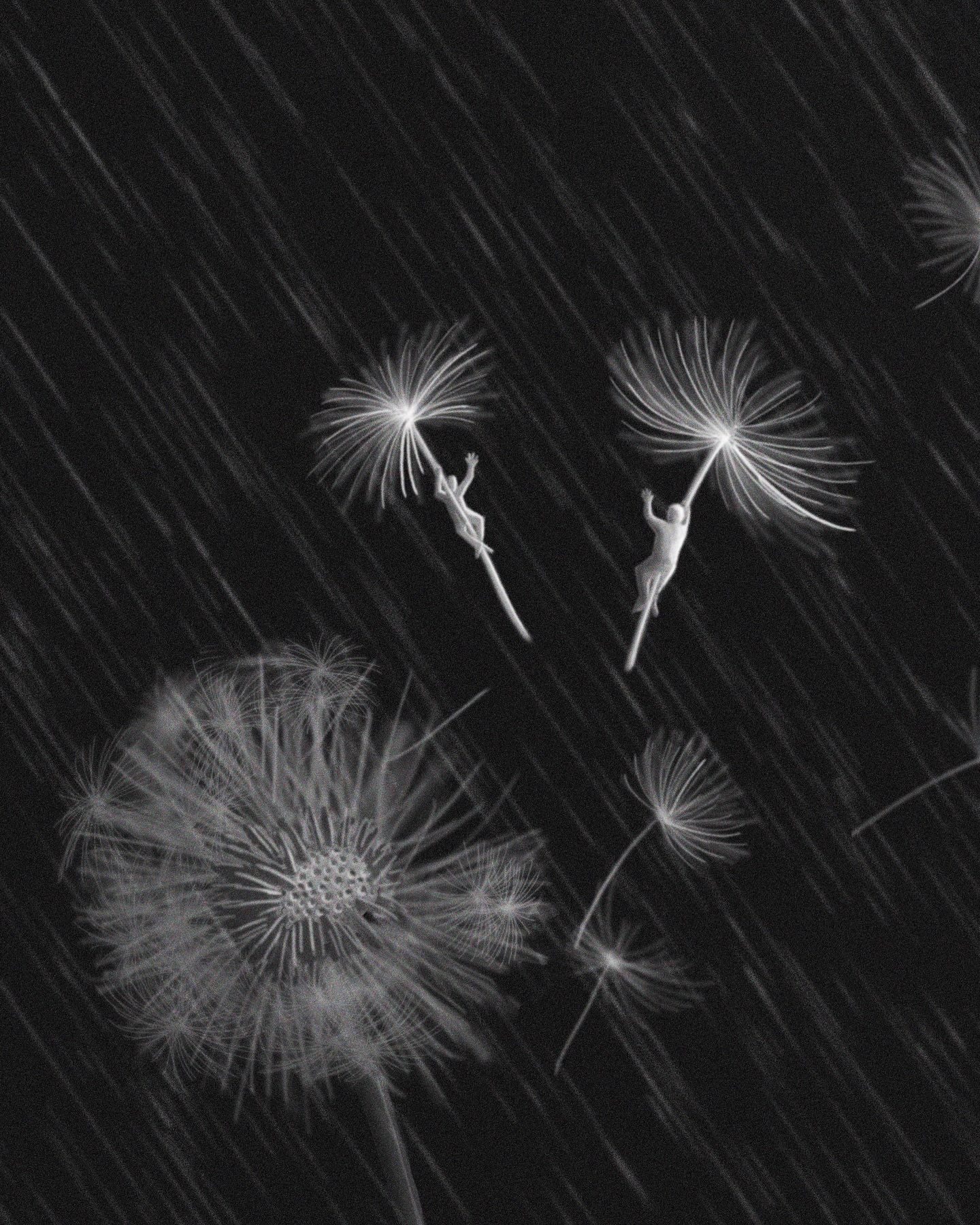 "Strangers in the Wind"
A quick sketch inspired by how the most special people feel like a surprise that was meant to be. Like when you meet them you finally understand why the universe has been tugging at your heart in one way or another. Julio Cortazar said it beautifully "“We went around without looking for each other, but knowing we went around to find each other.” Happy Monday everyone.