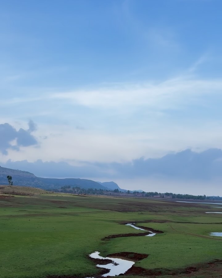 The stories we love best do live in us forever. So, whenever you come back, fireflies of awata will be there to welcome you home.
#fireflies #monsoon #farmlife #love