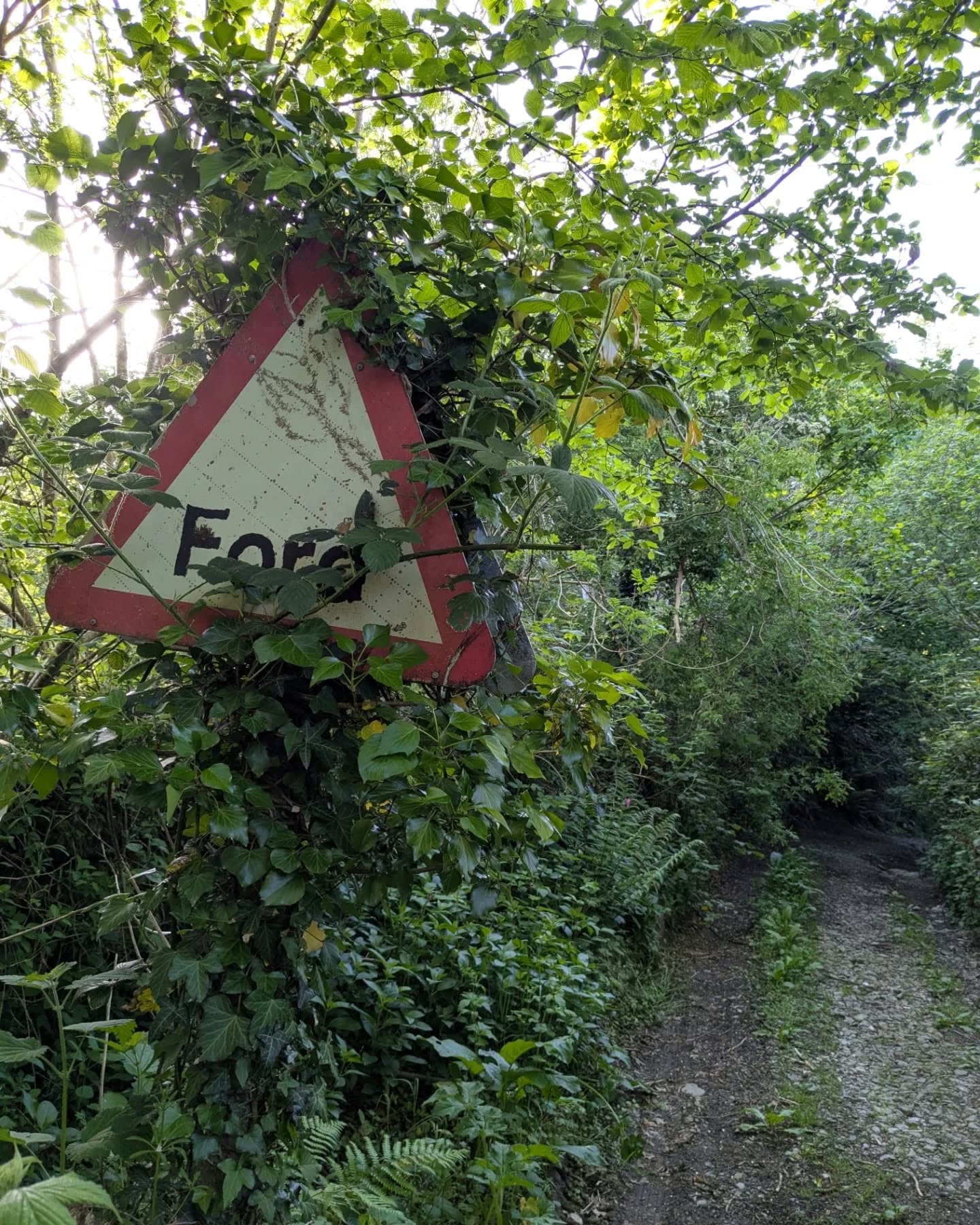 Ford Lane. A wonderful, magical place.