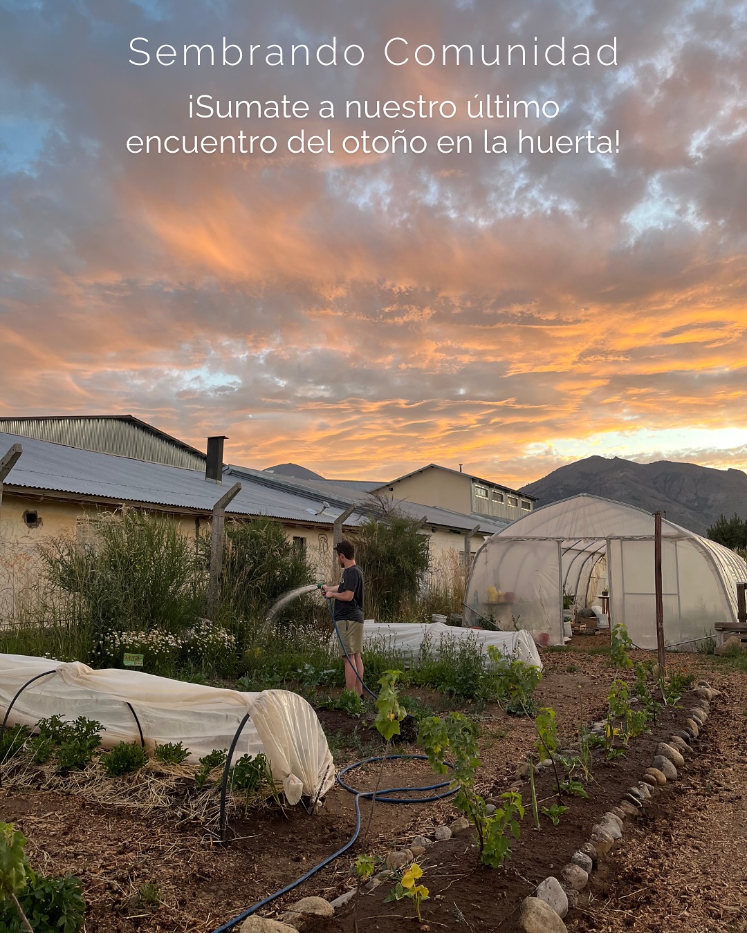 Sumate este sábado 24/05 a un taller en nuestra huerta escuela 🧡 se acerca el invierno, nos juntamos a cerrar un ciclo y sembrar en comunidad el que viene 🌾
🧄 En este encuentro vamos a sembrar ajos, aprender cómo cuidar la huerta en otoño/invierno, hablar sobre cómo nutrir el suelo con prácticas agroecológicas y muchas cosas más. ¡Todo mientras compartimos charlas y algo calentito!
📍Charcao 242, Barrio Frutillar
🕑 De 14 hs a 17 hs.
🥐 Merienda compartida: si podés traete algo rico, va a haber de todo.
🧡 Jornada abierta y sin inscripción previa
Te esperamos! 🌱
#HuertaAgroecológica #Bariloche #Comunidad #Agroecología #CursoDeHuerta #Compostaje #SembrandoComunidad #HuertaFrutillar