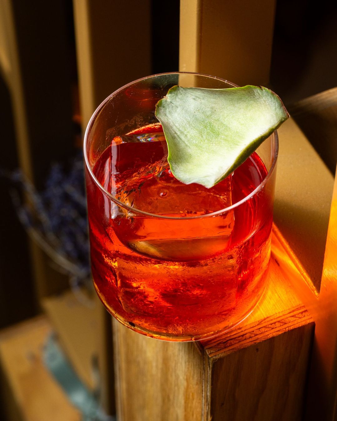 Negroni
📸 @monsieurhuman