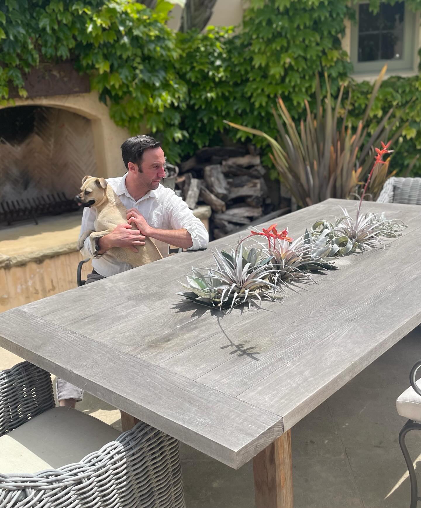 Revisiting one of my first and favorite projects.