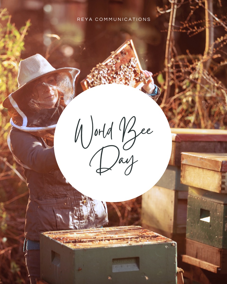 Today, on #WorldBeeDay, we celebrate those tiny pollinators that play a huge role in sustaining life on our planet. Bees are responsible for pollinating more than 75% of the world’s flowering plants and about 35% of global food crops, from the fruits we eat to the flowers we admire, their impact is everywhere.
But bees are more than just hardworking insects. They're essential to healthy ecosystems, biodiversity, and food security. As climate change, habitat loss, and pesticides threaten bee populations worldwide, protecting them is more urgent than ever.
From the Peruvian Amazon to the savannahs of Uganda, or the heart of Ireland, we’re proud to work with travel partners supporting bee conservation through community-led initiatives.
In the heart of the Peruvian Amazon, @delfinamazoncruises and their Bee Queen Coin program is helping empower women in remote communities through sustainable beekeeping with native stingless bees, promoting biodiversity, boosting local crops, and offering a source of income and nutrition.
In Uganda, @volcanoes_safaris supports the Kyambura Bee Keepers Co-Operative through training and sustainable honey production. Their beehives not only provide economic support, but also help protect farmland from elephant raids by acting as natural deterrents.
And in Ireland, @cashelpalace has declared a Conservation Area for the endangered Native Irish Black Honey Bee, the last genetically pure population of its kind in Europe. The hotel’s historic grounds now offer a safe haven for this unique species to thrive, with rewilded meadows and restored heritage “bee boles” signaling a return to nature.
Let’s continue to advocate for pollinators, support bee-friendly practices, and celebrate those who are making a difference, one hive at a time.
Read more about our incredible clients using their role in tourism to support bee conservation through community-led initiatives. Link in our stories and bio.
#WorldBeeDay #PollinatorConservation #SustainableTravel #BeeProjects #LuxuryWithPurpose #DelfinAmazonCruises #VolcanoesSafaris #CashelPalace #REYACommunications #TravelPR #NatureConservation #EcoTourism #BeeTheChange