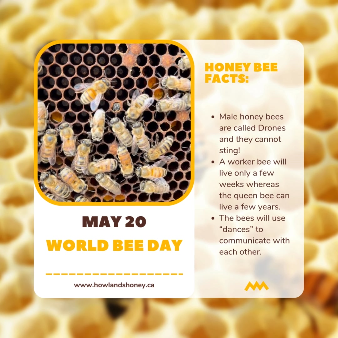 Happy World Bee Day! ๐๐ Today, we celebrate these incredible pollinators who are vital to our ecosystems and our honey. At Howland's Honey, we're proud to support healthy bee populations and produce pure, natural honey. Join us in honoring bees today and every dayโprotecting them means a sweeter future for us all! ๐ฏโจ #WorldBeeDay #SaveTheBees #HowlandsHoney #BeeFriendly