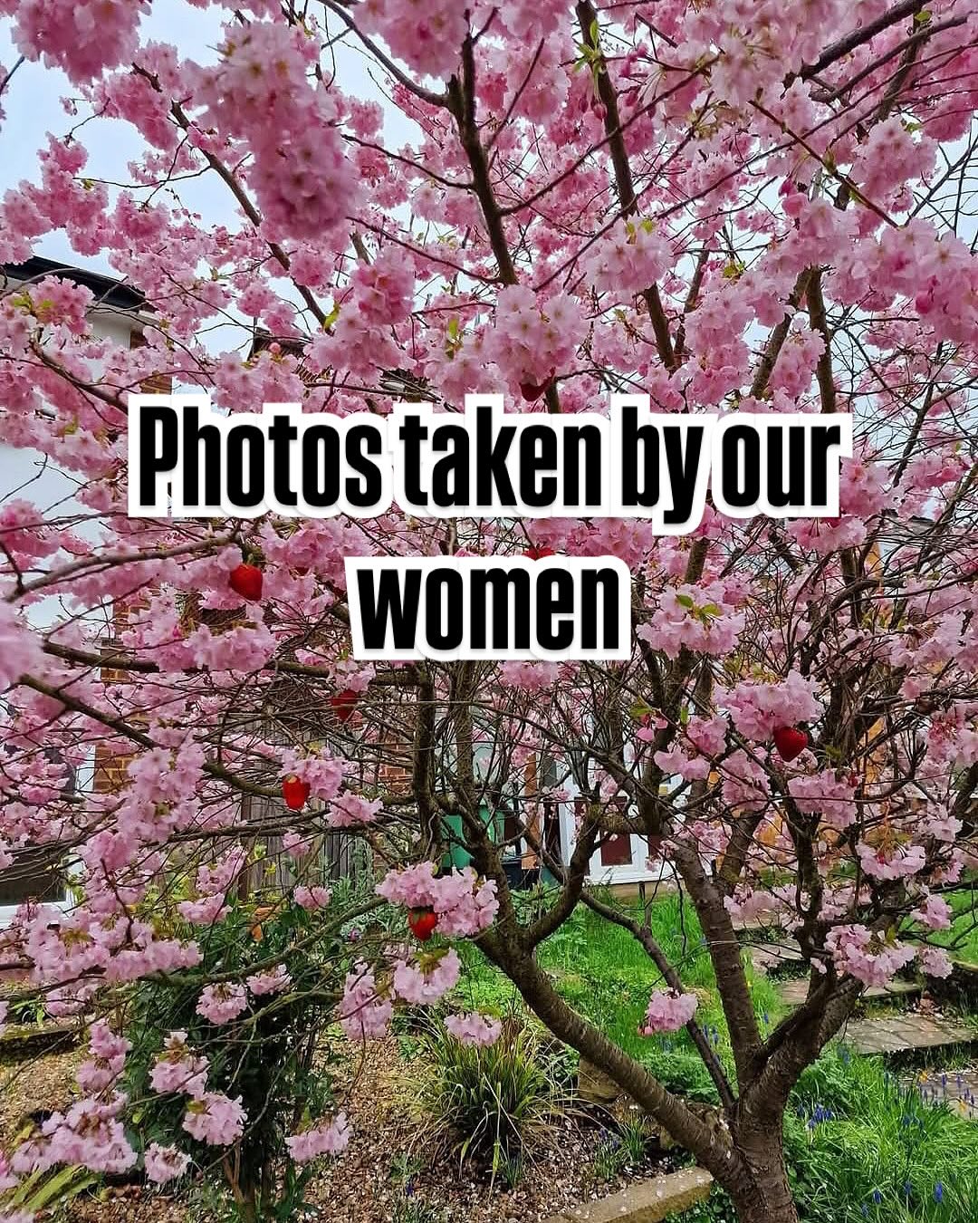 We encourage women to live in the monent, to pay attention to our surroundings, admire the nature. We call it mindful photography, when we stop and take an image of what it inspires us mostly in that moment. Here are a few images.
#womensupportingwomen #womenempowerment #forwomenbywomen #mindfulliving #seizethemoment