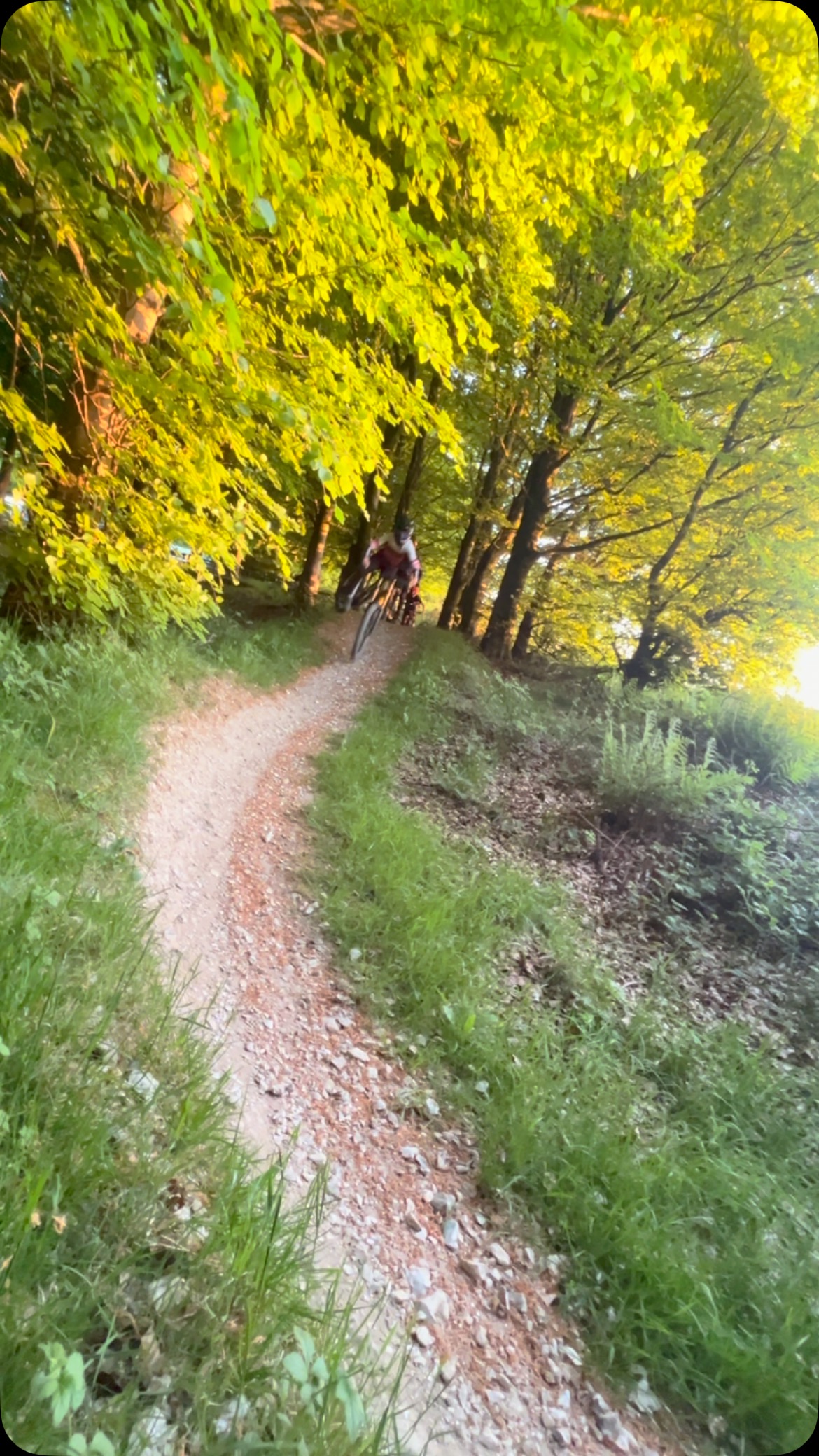 Get the laps in. #oioi #mucoff #dmrbikes #okefordhillbikepark