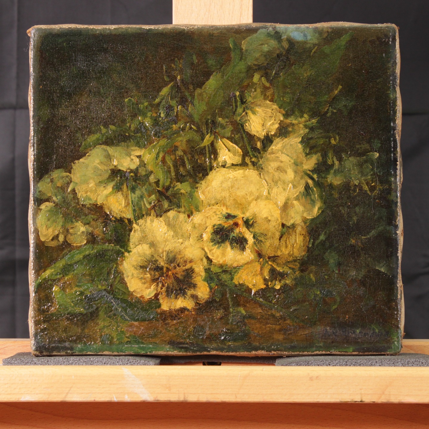 Gele of witte viooltjes? Je ziet het pas echt als de nicotinelaag verwijderd is. #schilderijenrestauratie #nicotine