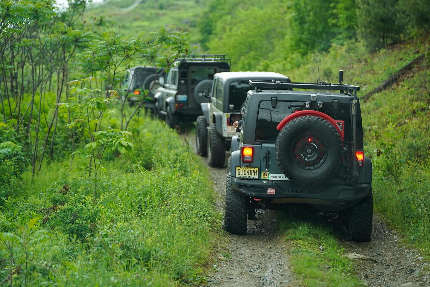 🚨 Only 2 Weeks Away! 🚨
The N.E.K. Overland Summer Safari is almost here — and there’s still time to sign up! 🗺️🌲 https://www.nekoverlanding.com/events