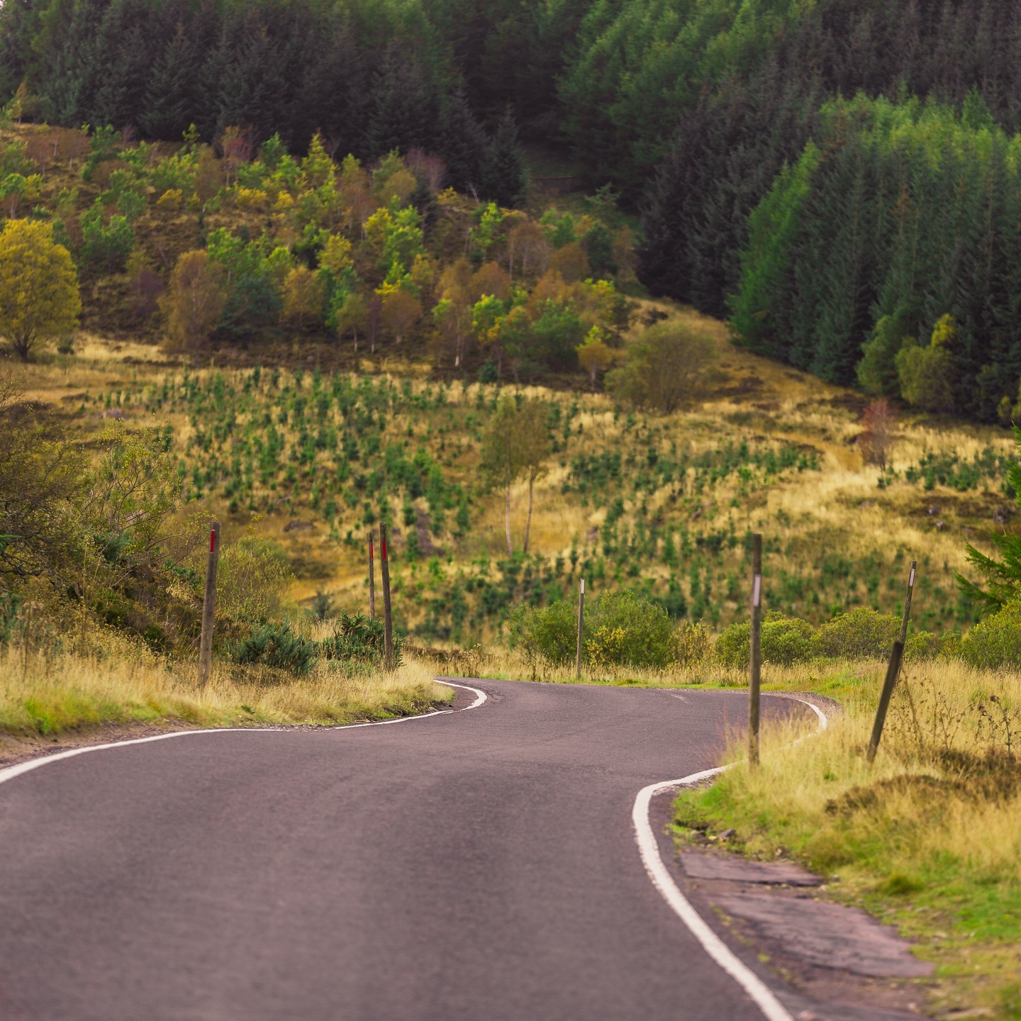The lushest of roads.
#trossachs #autumninscotland #scotlandphotography #scottishlochs #scenicscotland #naturelovers #autumnreflections #landscapephotography #visitscotland #lovescotland #scotlandexplored #discoverscotland #scotlandlovers #scotlandshots #instascotland #scotlandbeauty #explorescotland #autumnvibes #naturephotography #scottishhighlands #wildscotland #scotlandtravel #beautifulscotland #scotlandwithlove #scotlandinspires #natureescapes #scenicviews