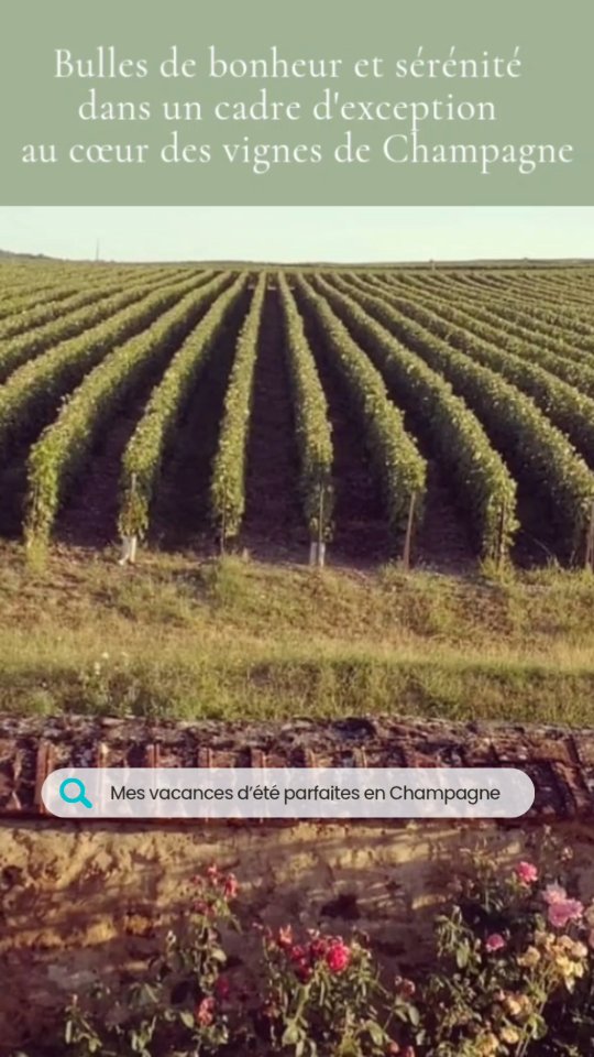Vos vacances d'été à @labellelongere ☀️
🌿Profitez de notre havre de paix ⭐️⭐️⭐️ pour vous ressourcer en famille ou entre amis, au cœur du vignoble de Champagne 🍇
🏡Nous vous proposons un écrin cosy dans un cadre verdoyant avec 2 terrasses privatives et grand jardin arboré kids friendly.
La semaine prochaine, vous pourrez réserver les derniers créneaux du calendrier Juillet/Août via notre site en ligne ! 🗓
#GîteFamilial #labellelongere #locationsaisonniere #gite10personnes #gitechampagne #guesthouse #champagnetourisme #tourismeenchampagne #routeduchampagne #Oenotourisme #maisondevacances #holidaylocation #meubledetourisme #3etoiles #vignes
