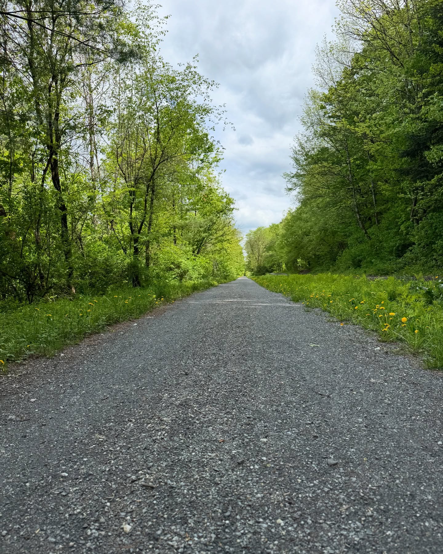 Definitely spring in Vermont!Snow in the forecast and a heavy helping of spring 🌦️on the menu. Catching the sunny breaks in between on the trail.