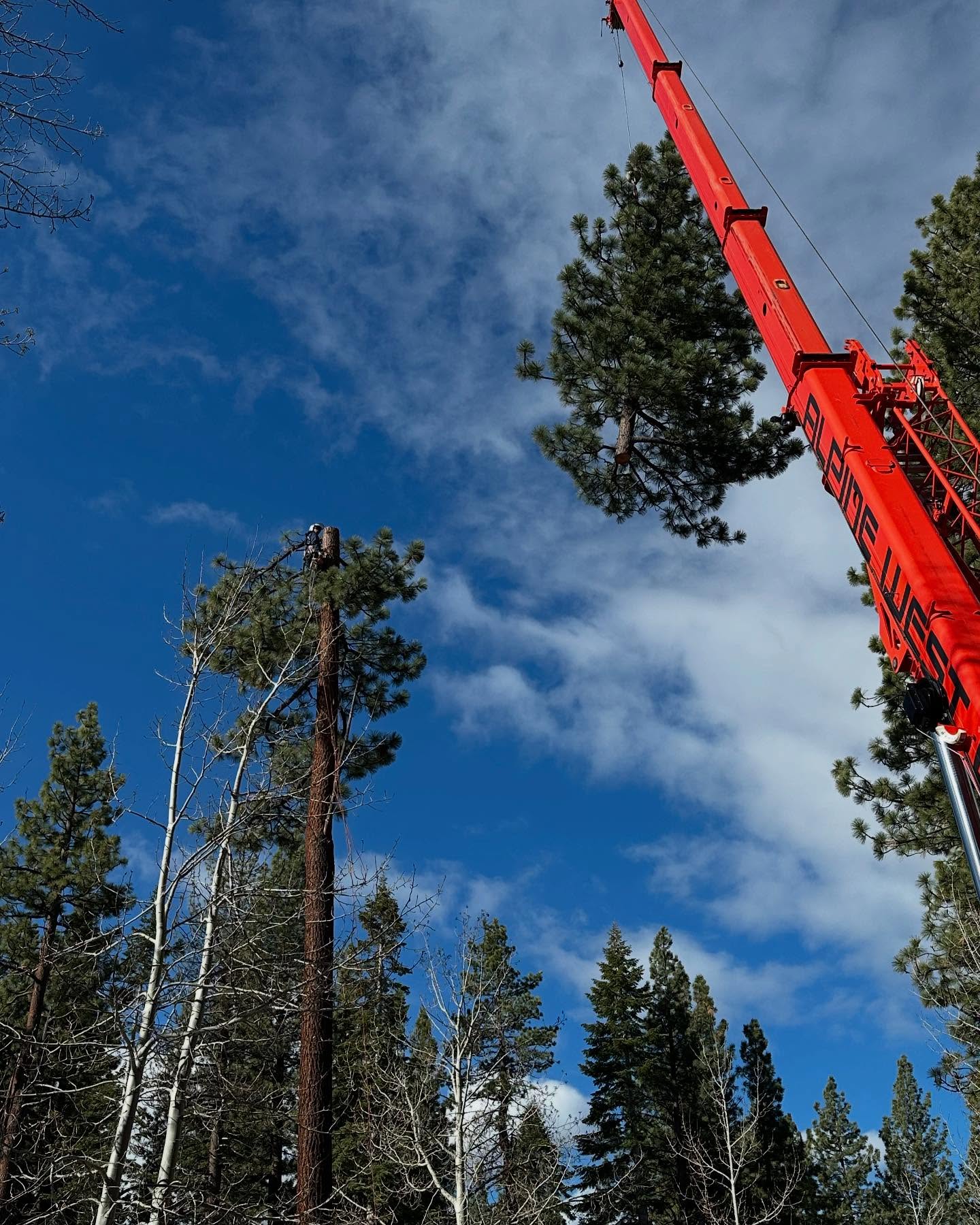 Another one in the books! Always a pleasure working with professionals in this industry! Thanks Alpine West u guys rock!