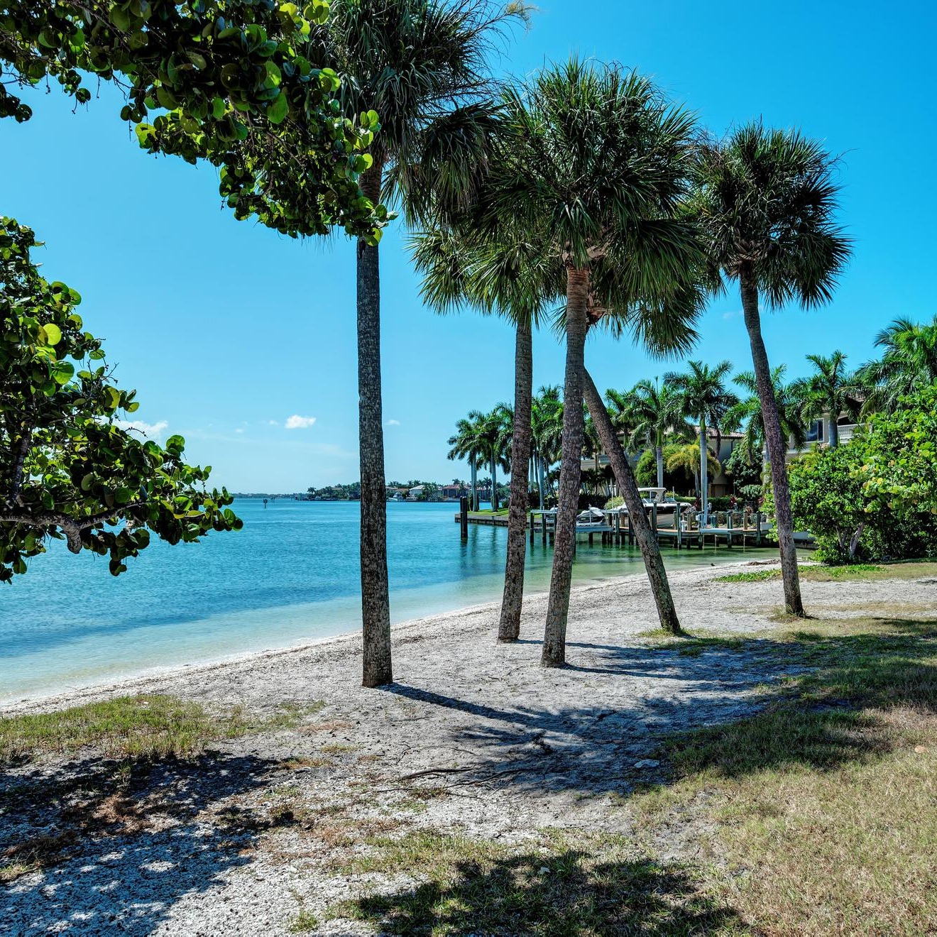🌴 Whether you're relocating to Sarasota County or just exploring your new neighborhood, one of the best ways to get to know the area is by visiting its parks! 🌞 Discover our top picks in the latest blog post and start your outdoor adventure today! 🌿
🌐https://opalhomesgroup.com/discover-the-most-notable-parks-in-sarasota-county/
#SarasotaParks #ExploreSarasota #NatureLovers #FloridaLife #OutdoorAdventures #DiscoverSarasota