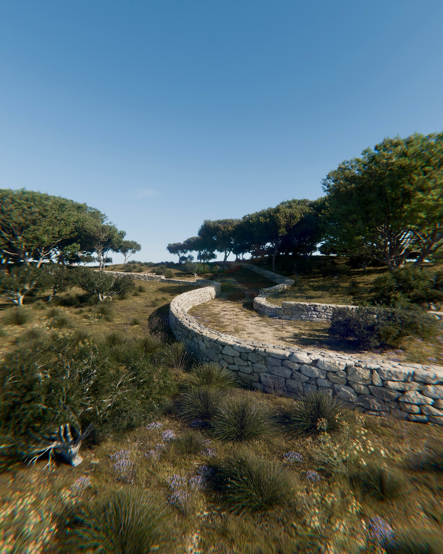 Sentier sinuant à travers un paysage remarquable en Provence, bordé de part et d’autre par des murets en pierres sèches aux assises bien marquées. La végétation reprend progressivement ses droits, créant une harmonie qui donne l’impression que l’ouvrage a toujours existé, figé dans le temps.
#drylandscaping #nativeplants #wildflowers #provence #CharmeProvencal
#LifeInProvence #studiodac #blender3d #southoffrance #landscape #alpilles