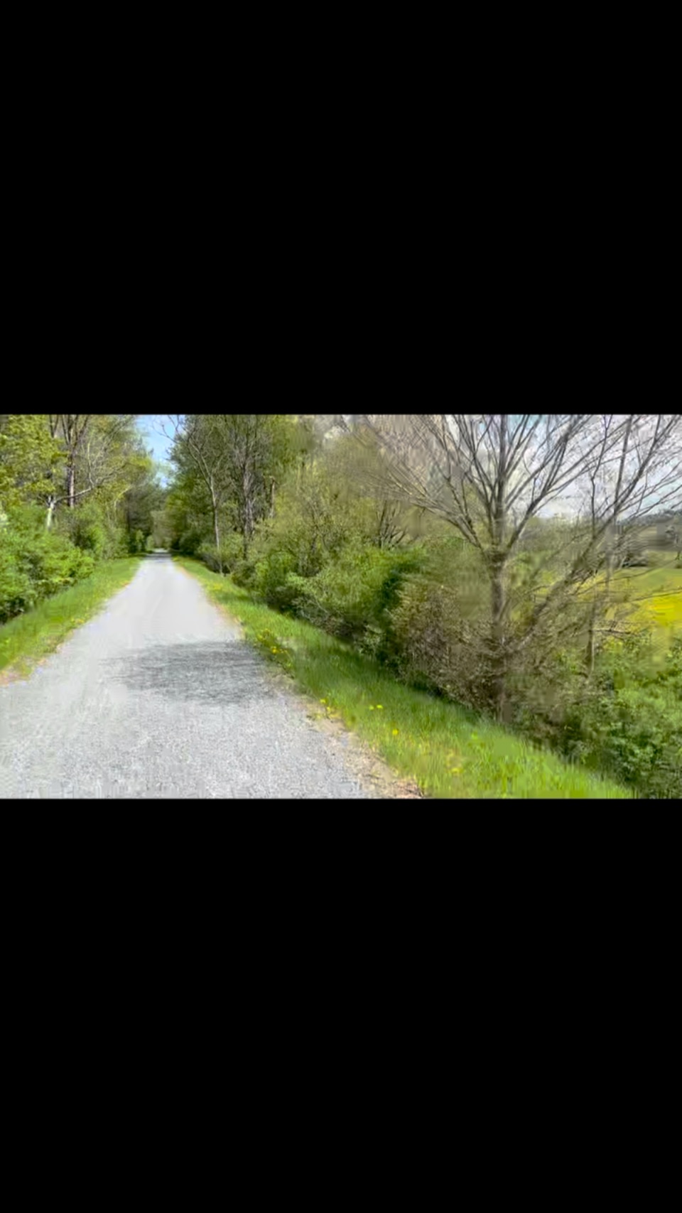 Good days and sunshine is on the way after this cloudy week. Ready for the dandelion show! See you on the trail! #lamoillevalleyrailtrail #bikelamoille
#bikevermont
#railtrail
#vermont
#springinvermont