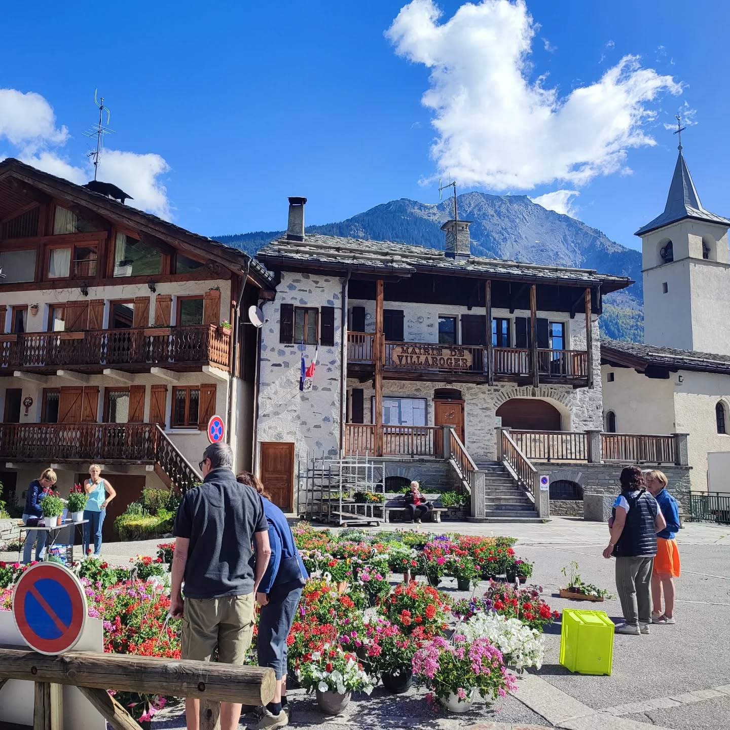 The perfect day for the annual plant market.