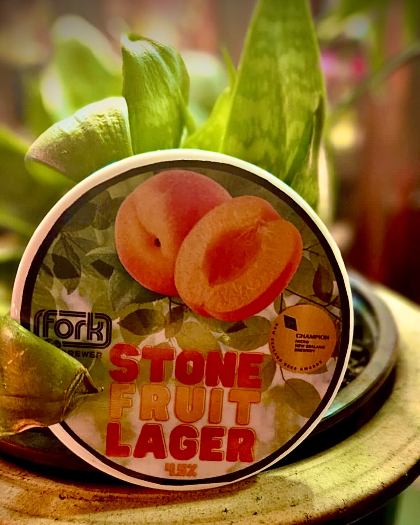 New on tap!
The newest addition to our guest tap is @forkandbrewer
Stone fruit lager 🍑🥭
This is the first batch they have made using Hallertau hops and we are the first bar in the world to have it tapped (even before the brewery itself)
Definitely worth coming in to try this sweet fruity light and very seasonable lager