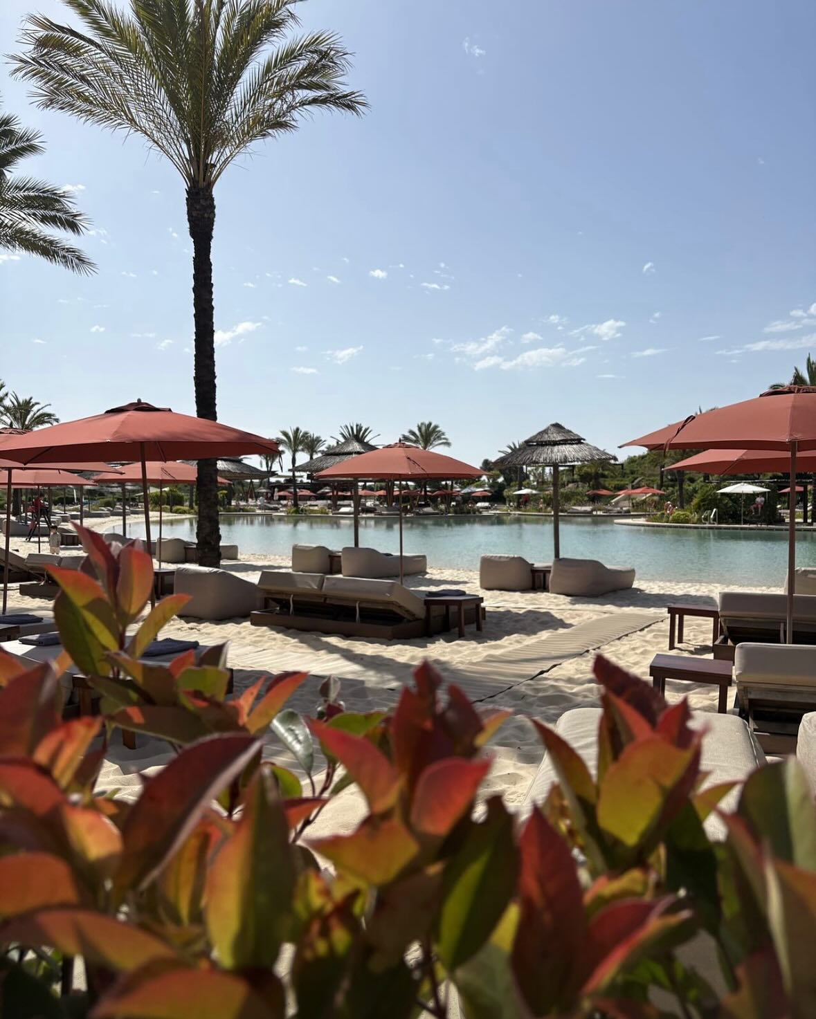 📍New Blog Post
✨Sotogrande : Understated Elegance on the Costa del Sol
At Signature Properties, there’s a special place in our heart for Sotogrande 🫶🏻
Read our last post 👉🏼 https://www.signature-properties.es/post/sotogrande-understated-elegance-on-the-costa-del-sol
Let us know what’s your feeling about Sotogrande ✨