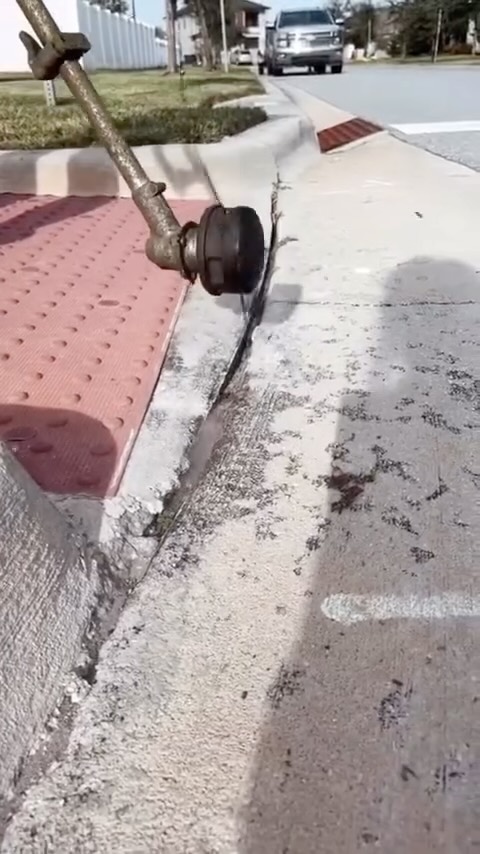 🧑🏻🌾
#lawncare#lawncareservice#lawnmaintenance#lawncareservices#orlandoflorida#orlandofl