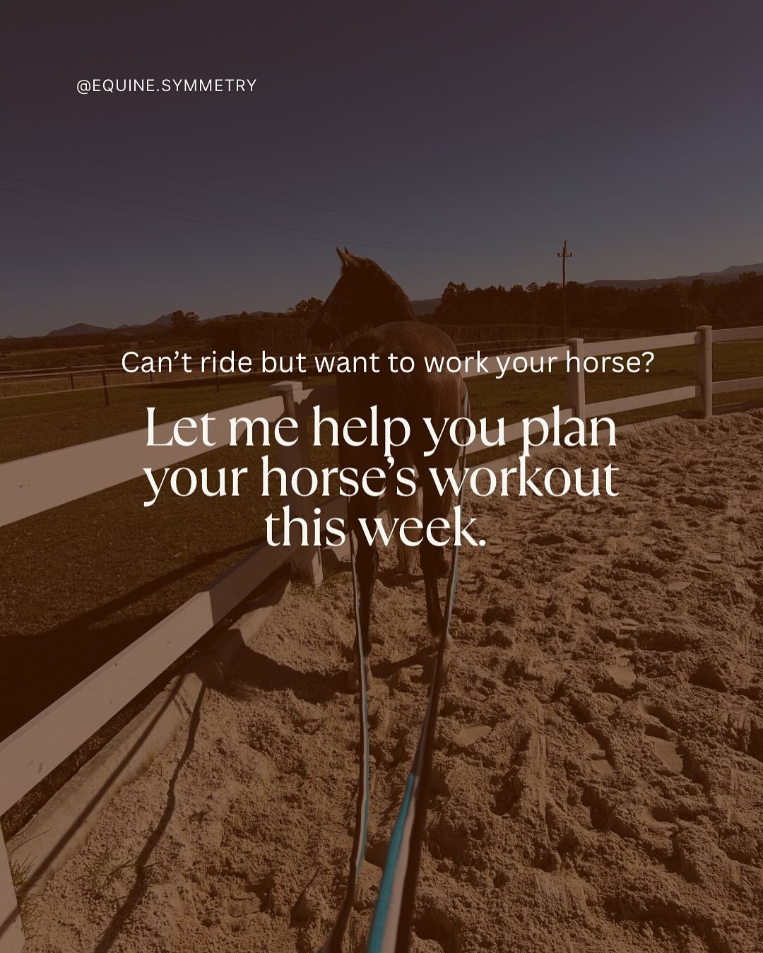 There are plenty of reasons why you might need to commit to working your horse from the ground:
❌ You are waiting for a better fitting saddle
❌ Trying to get your horse stronger before riding
❌ Working with a youngster
❌ Rehabing their body
❌ Working on your communication from the ground
❌ Recovering from your own injuries
❌ Giving your horse a more balanced training plan
The list goes on and on. Don’t get me wrong, I love riding and I can not wait for the moment that I get to sit on Ayra for the first time. But it is also super important for me that we set these foundations for both her strength and her training in the beginning.
As you can see I don’t structure our sessions much differently to what we would be doing if we were riding. I work in very similar exercises and behaviours as I would if I was schooling her from her back.
Working from the ground has been humbling. But it has also been fun and I have no doubt it is going to be incredibly rewarding once we do start more performance focused work. Working from the ground has highlighted significant gaps in my own skills and the communication between us. And this lets me work on it and fill those gaps before rushing on to the next thing. I don’t do that much circle work with her but that is definitely my downfall. Communicating to a horse to work activley, but calmly around me in a circle in good form is my archilles heel and I feel like a complete dummy everytime I try. Please tell me I am not alone! 🫠
But consistency is key with horses and with ourselves. We don’t need to be perfect. We just need to be patient, willing to reflect and learn, and show up regularly ❤️