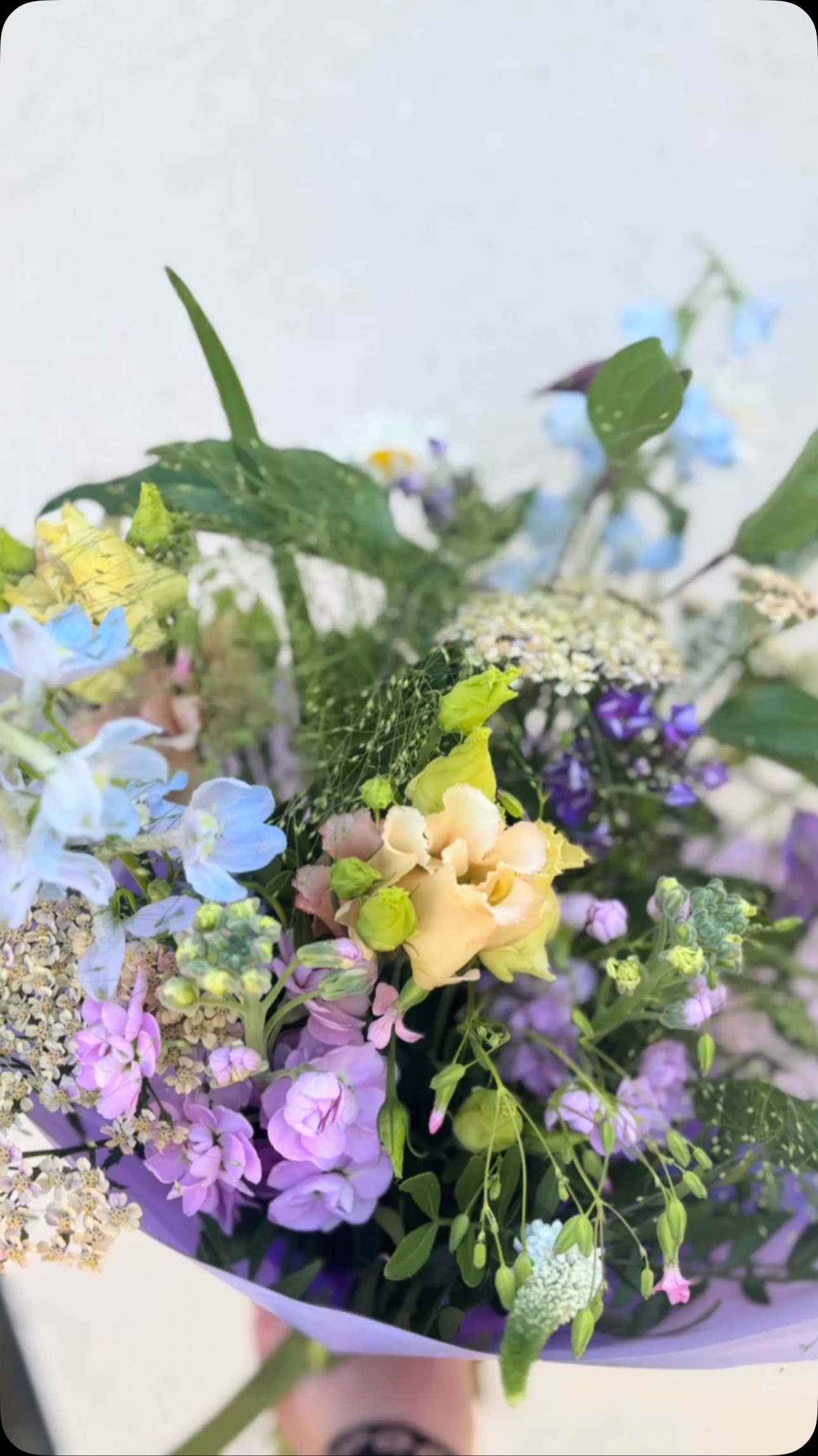 It’s pastel baby ✌️ looking pretty in the sun ☀️
#flowersnug #studioflorist #supportsmallbusiness #shoplocal #summerflowers #pinkflowers #pastelflowers #delphiniums #grasses #clematis