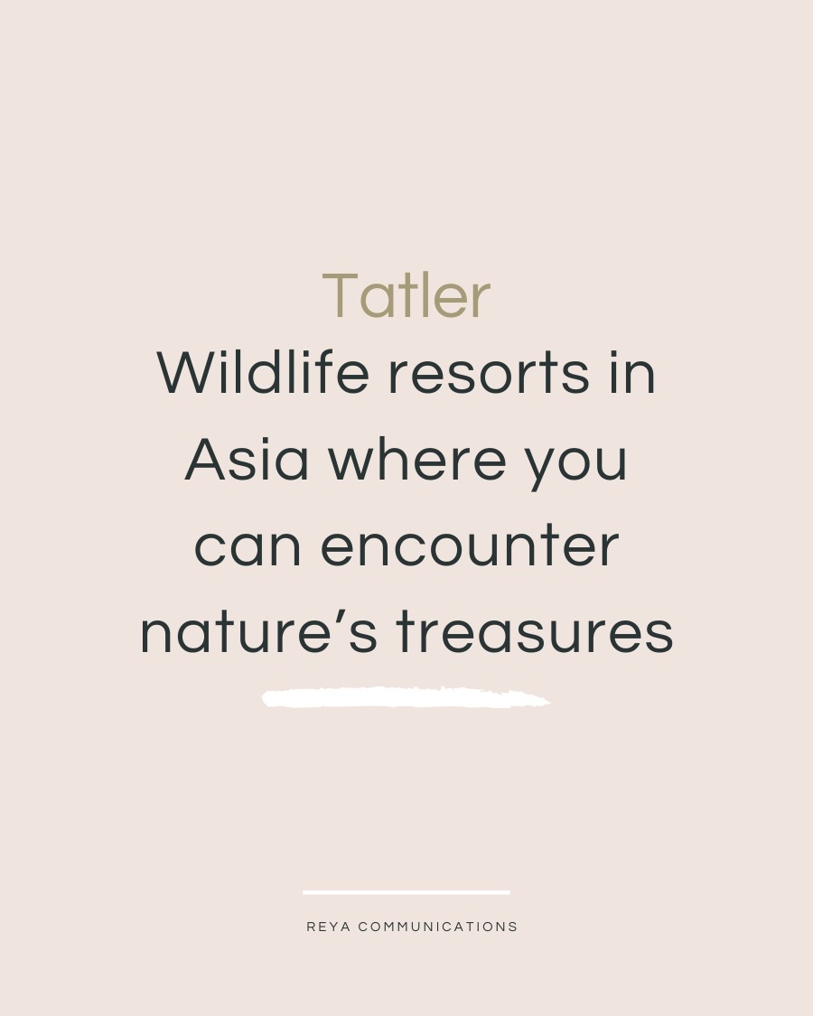 In @tatlerasia, the editors celebrate ten wildlife resorts across the continent where travelers can witness nature at its most breathtaking, while supporting conservation efforts that make a difference. Among them we find the remarkable @gangteylodge in Bhutan.
Set in the glacial Phobjikha Valley, this serene Bhutanese farmhouse-style retreat offers front row views of one of the Himalayas’ most sacred migratory events: the arrival of the black-necked cranes. From November to March, these revered birds descend from the Tibetan Plateau, gliding into protected wetlands just outside your suite’s panoramic windows.
Outside of crane season, the surrounding forests and meadows are alive with deer, wild boar, and red foxes. Through its support of the Black-Necked Crane Information Centre and sustainable tourism efforts, Gangtey Lodge invites guests into a story of reverence, stewardship, and timeless nature.
For journalists looking to explore Bhutan’s eco-luxury offerings or feature wildlife destinations rooted in preservation, we’d love to connect you with our team at REYA.
Read the full article in the link in our stories and bio.
#GangteyLodge #TatlerAsia #BlackNeckedCrane #WildlifeTravel #BhutanTravel #LuxuryWithPurpose #ConservationTravel #REYACommunications #SustainableTourism #EcoLuxury #WildlifeResorts #TravelJournalism #BhutanWildlife #PhobjikhaValley